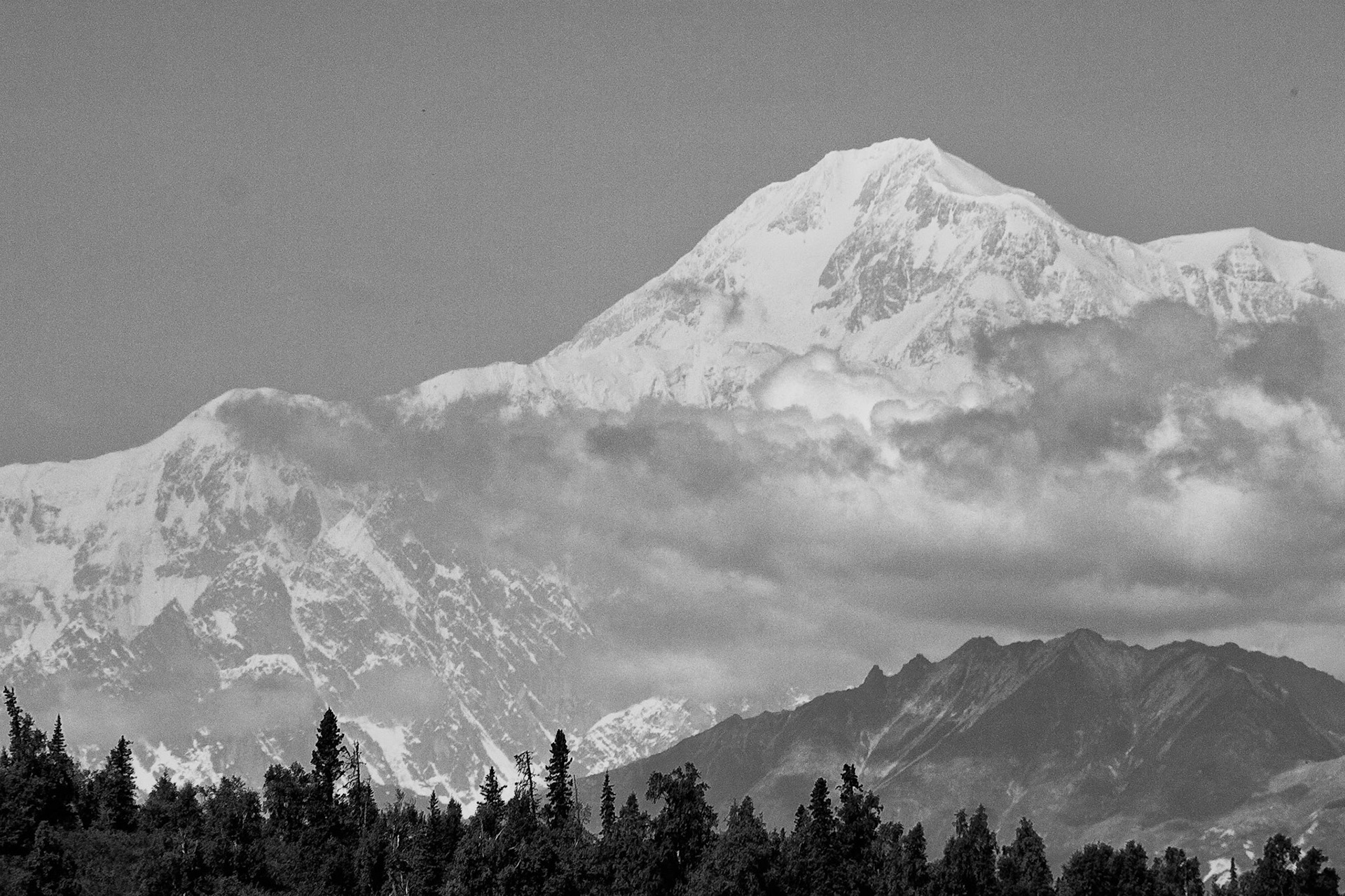 Black &amp; White 00066