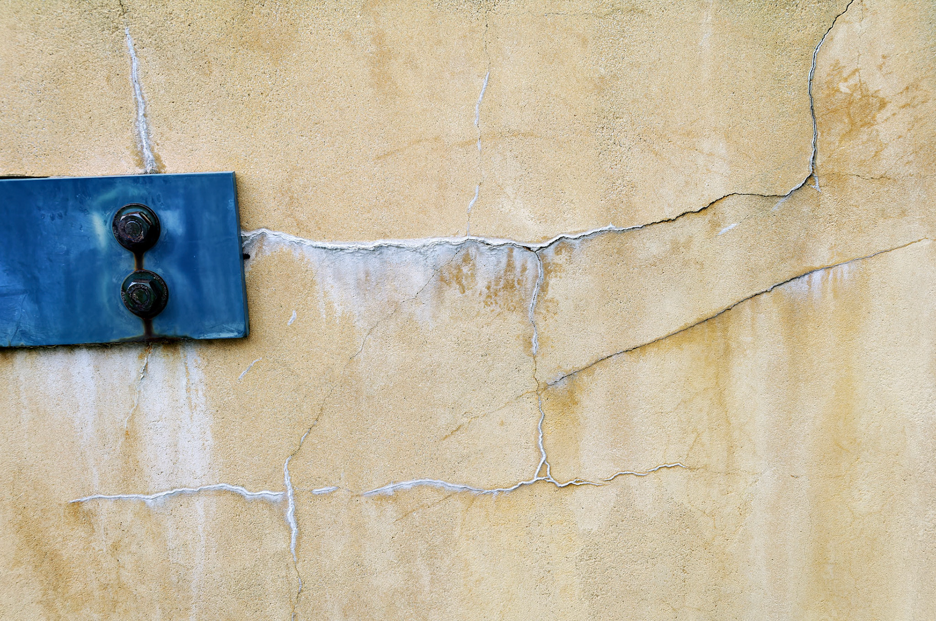 PA_GroundsForSculpture_20080814_0144_PS.dng