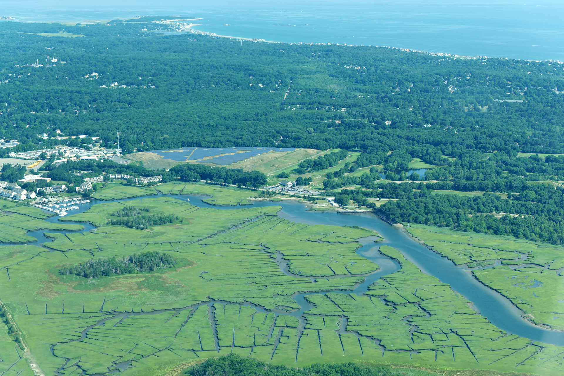 Aerials_20180729_0123_PS.dng