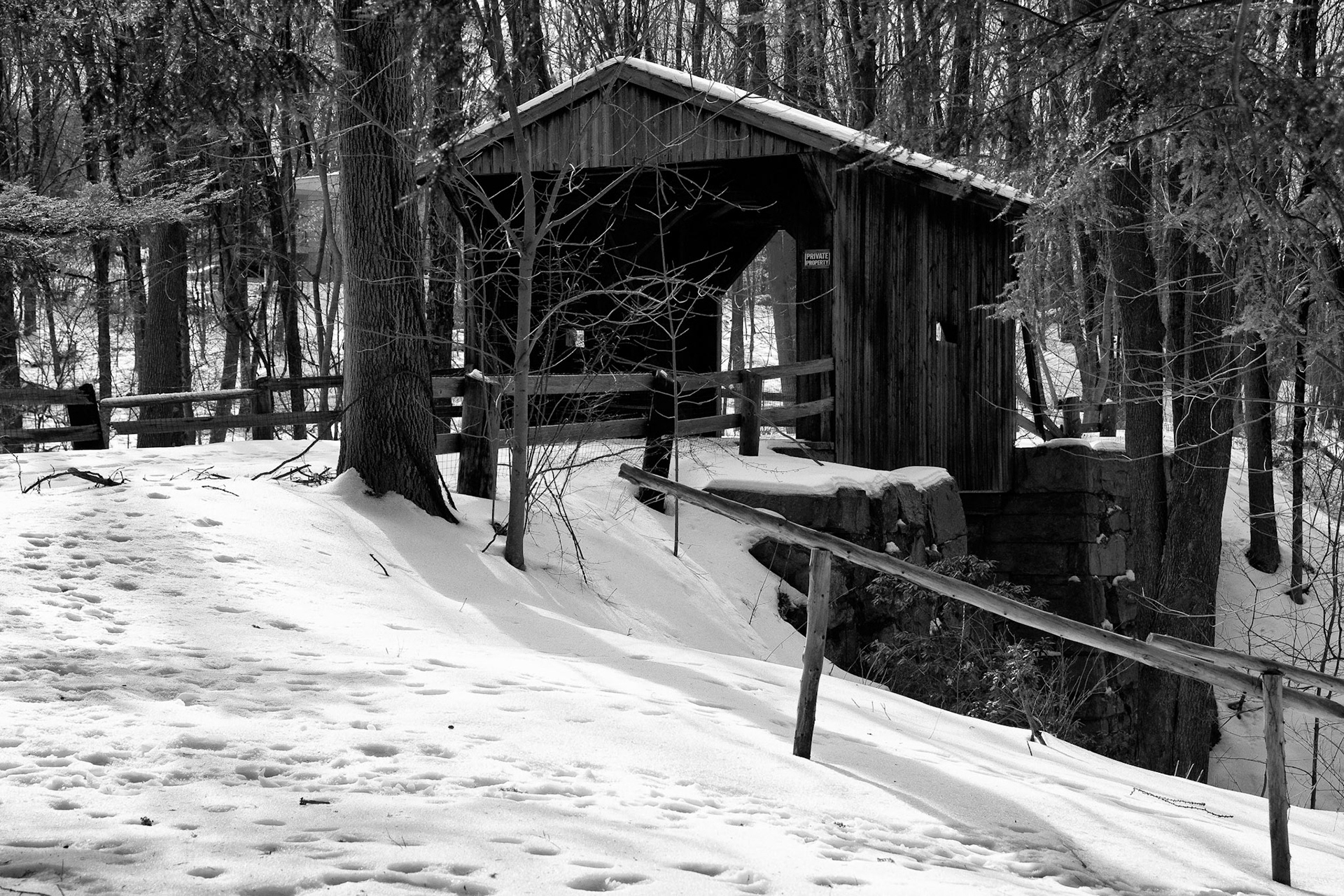 Black &amp; White Photos