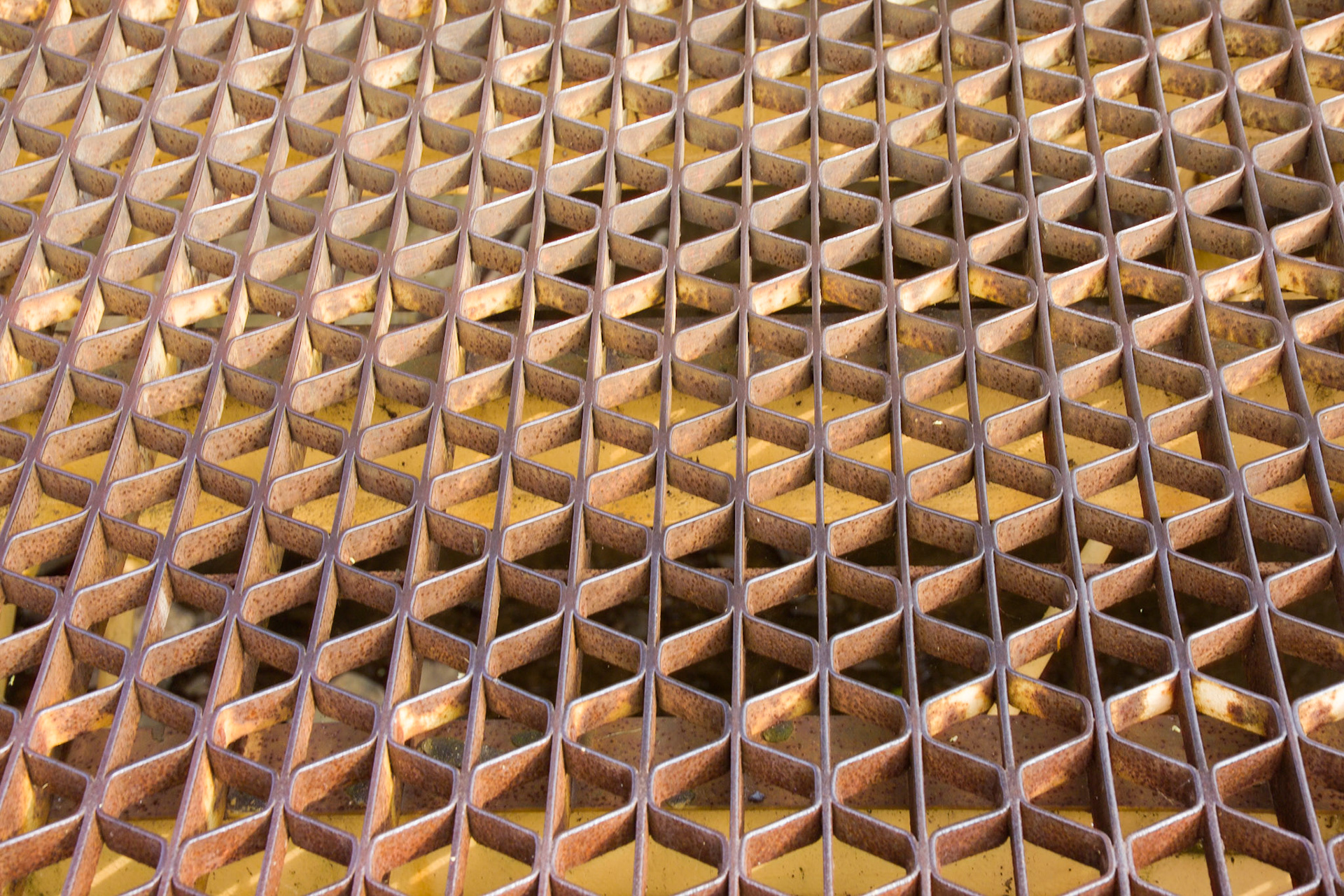 Artistic Photos 00121