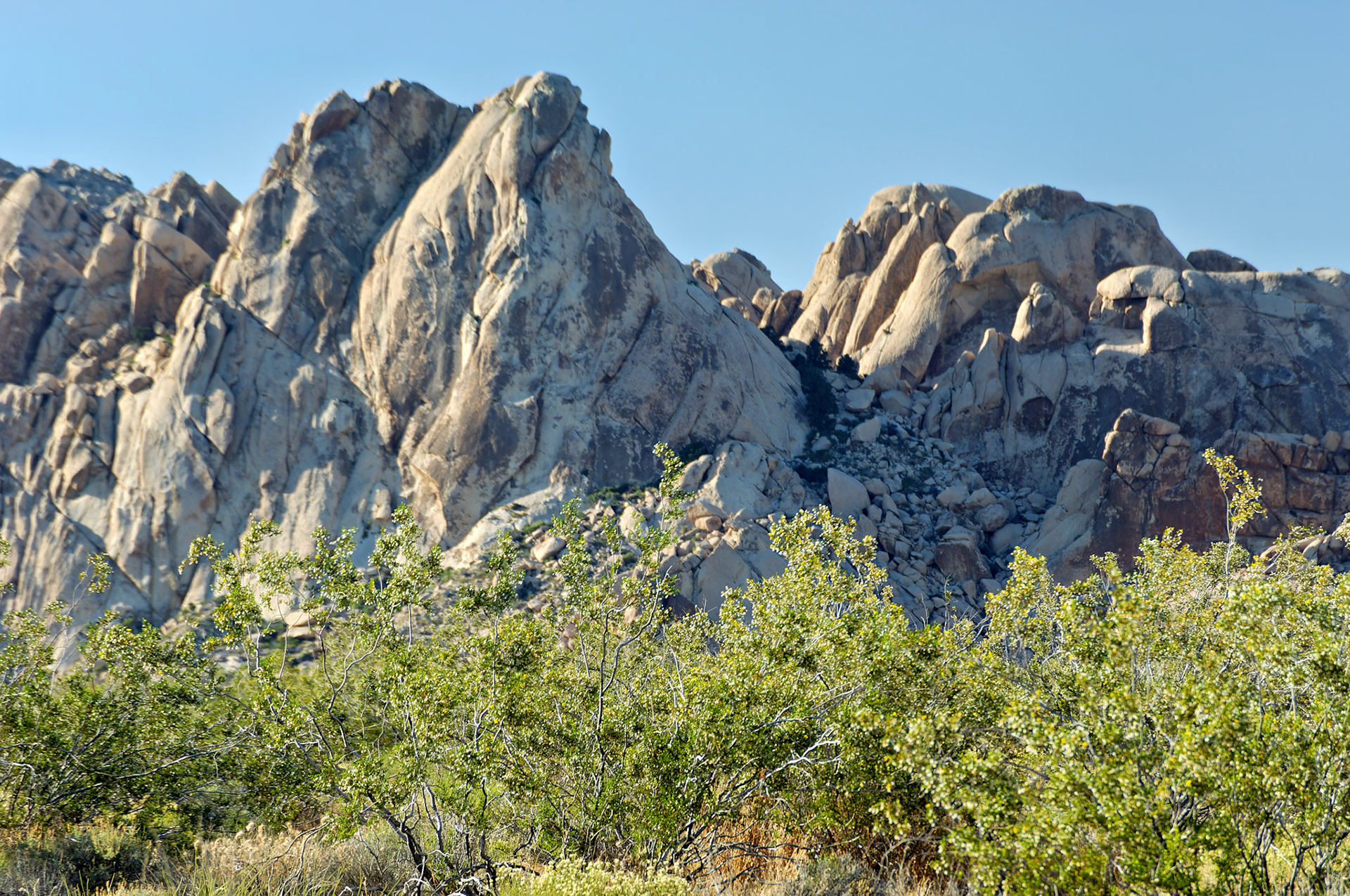 CA_20050614_0183_PS.dng