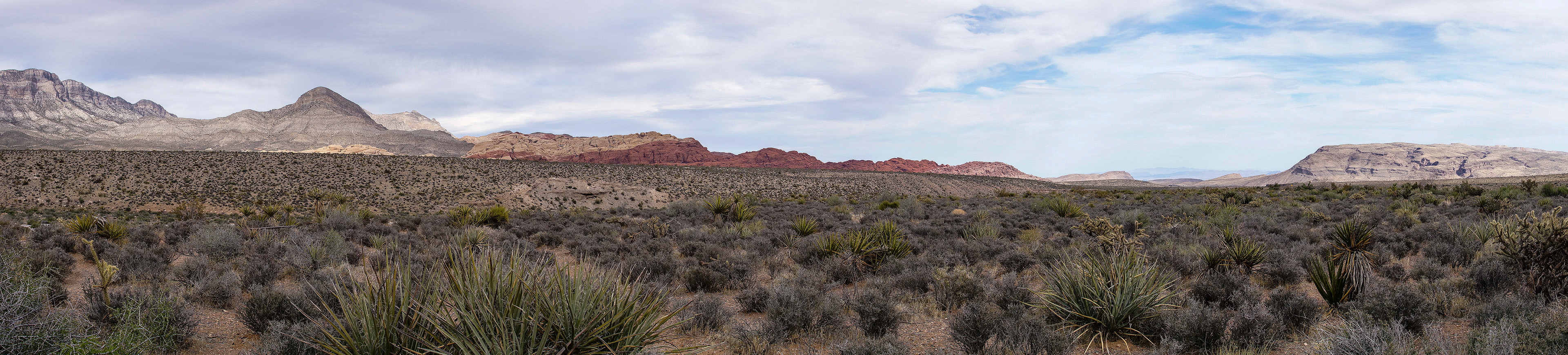 NV_Deserts_20120312_0099_PS.dng