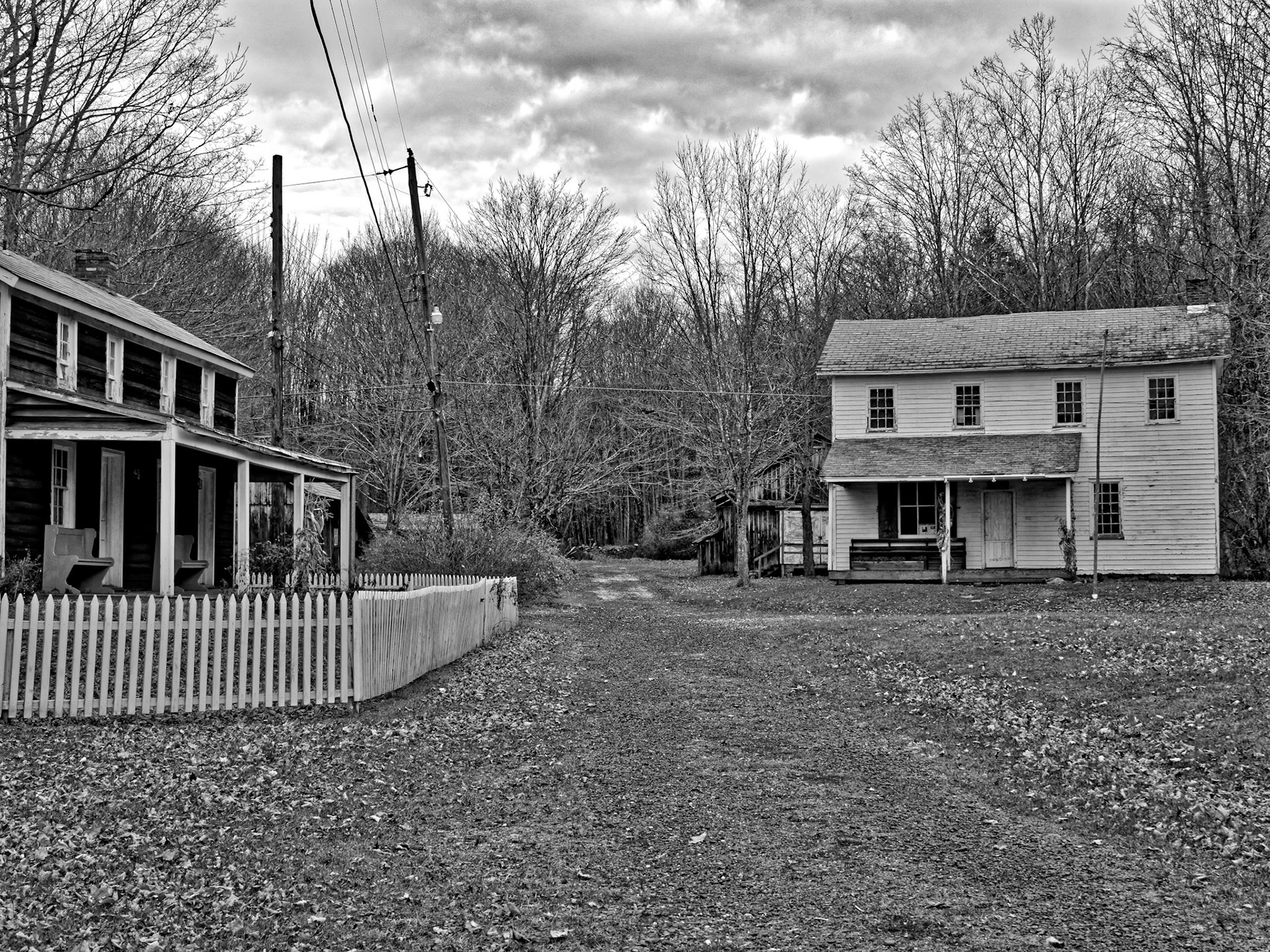 Black &amp; White 00016