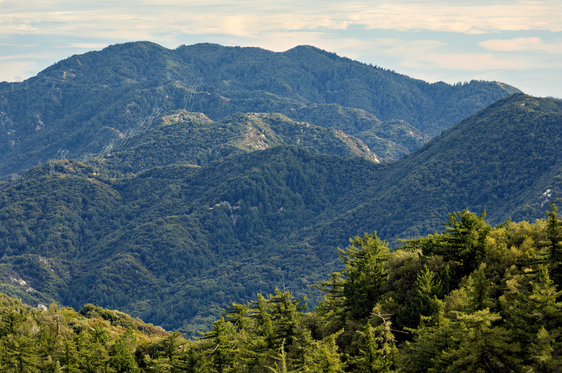 CA_LA_20051220_0283_PS.dng