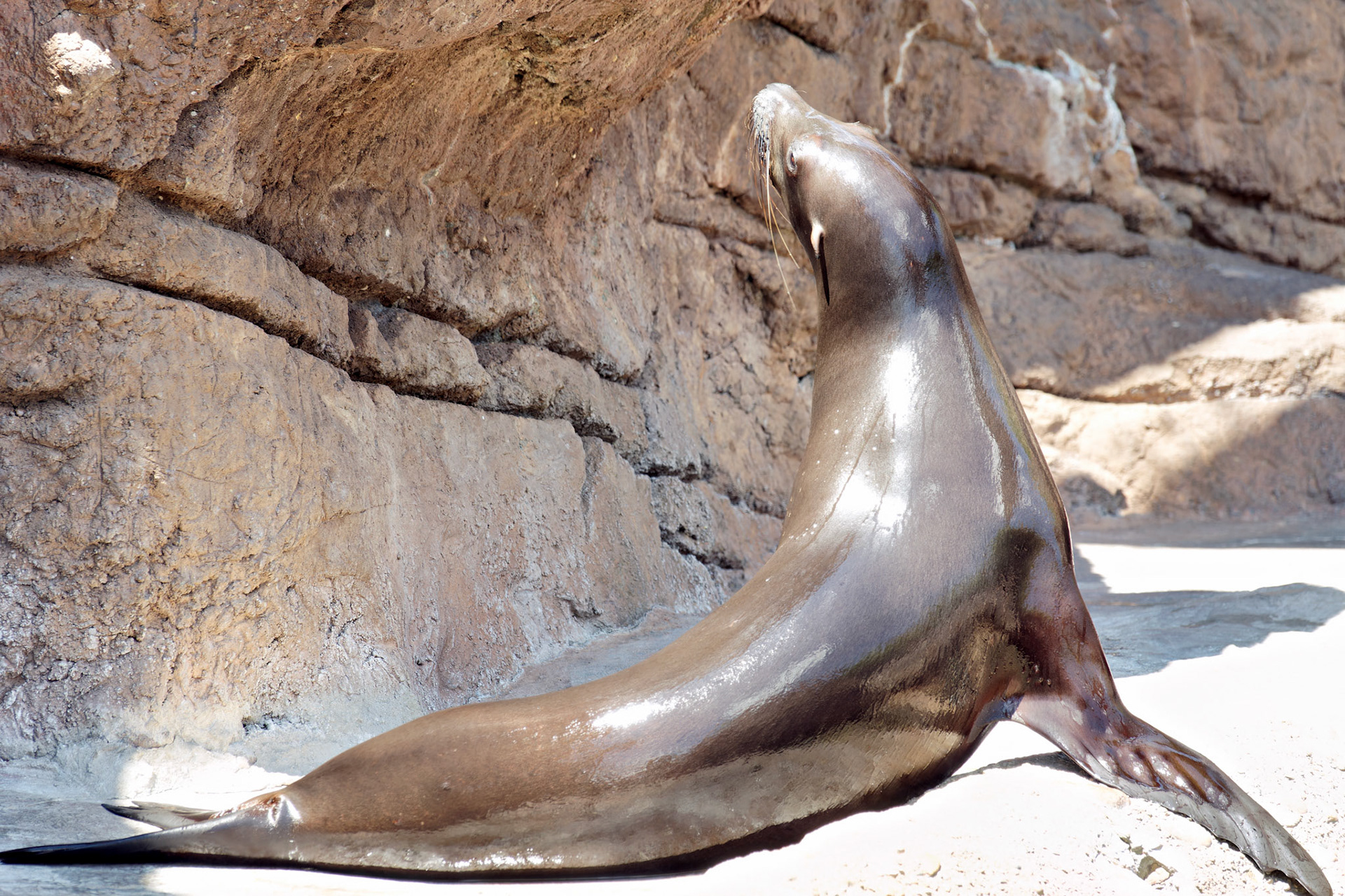 IN_Indianapolis Zoo_20170608_0198_PS.tif