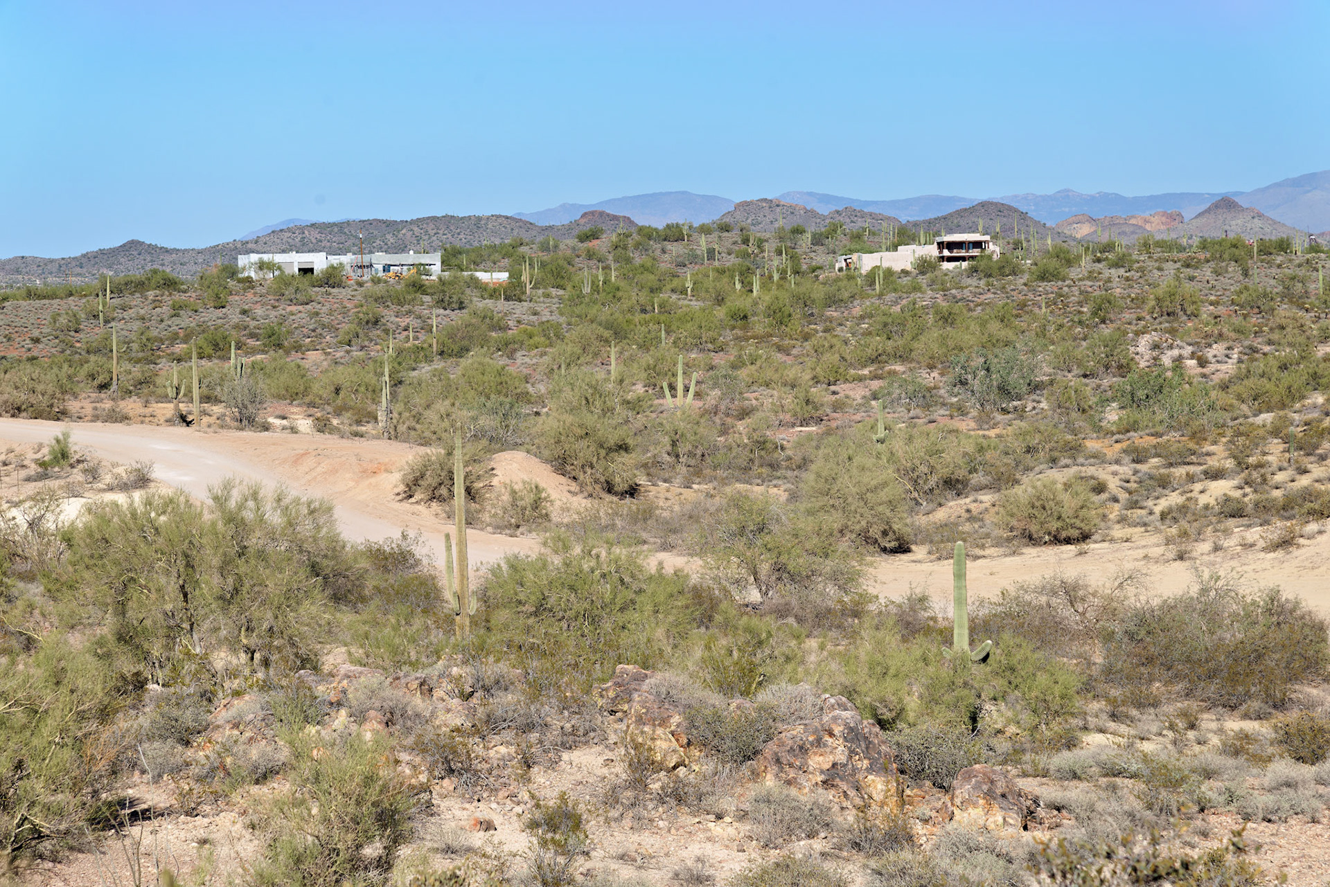 AZ_20121209_0312_PS.dng