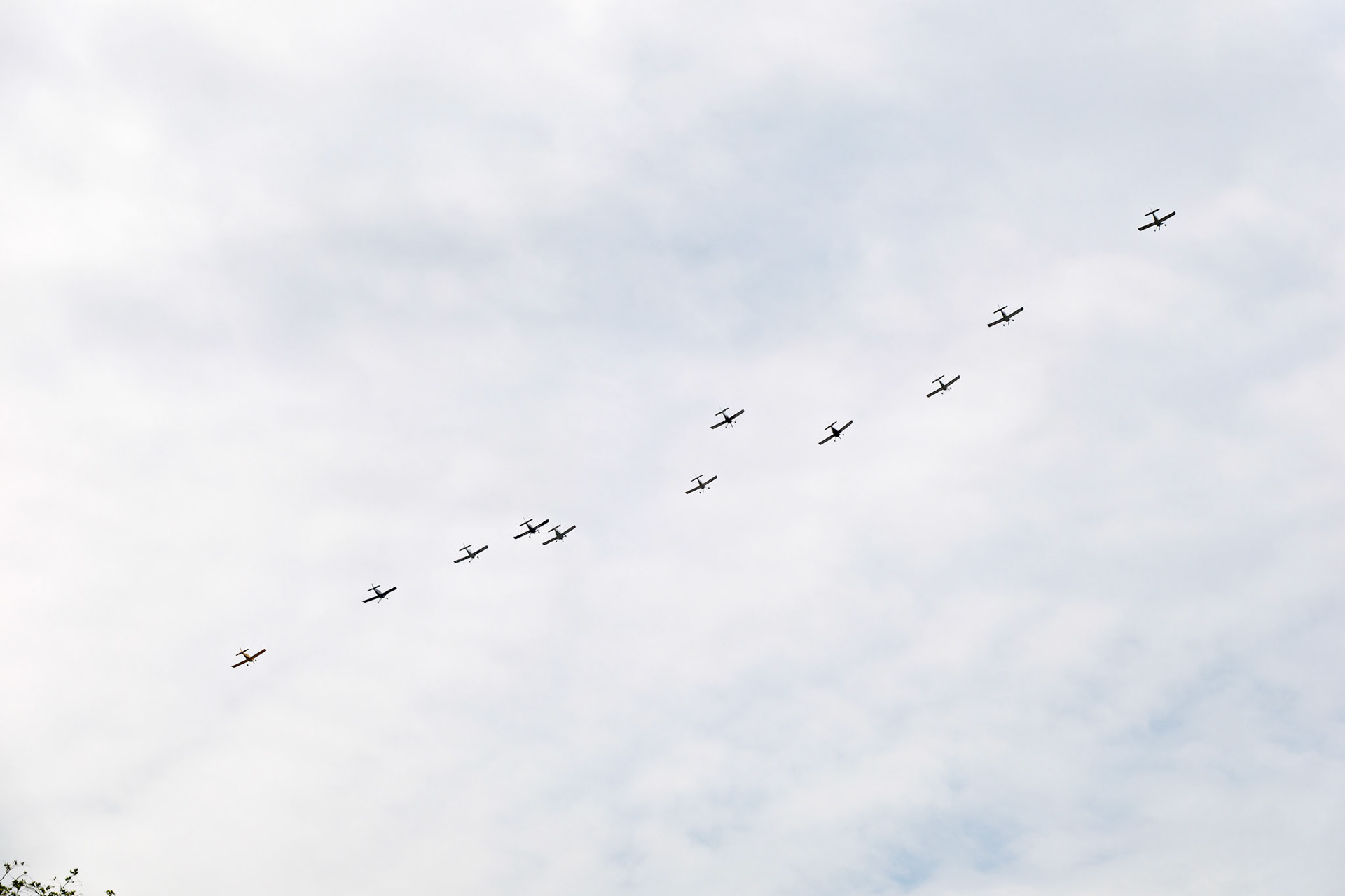 Aerials_20190726_0438_PS.dng