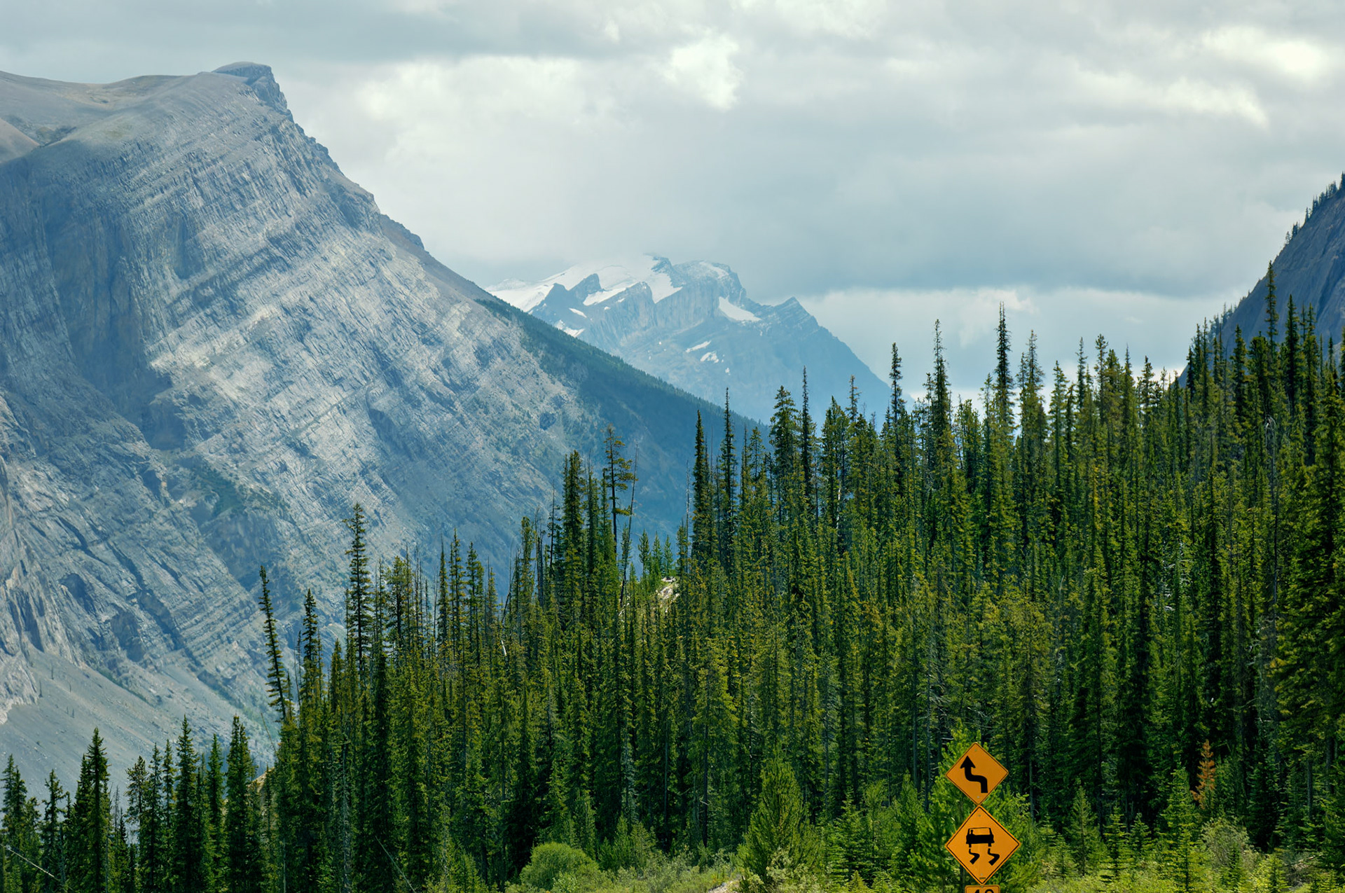 CN_20060802_0192_PS.dng