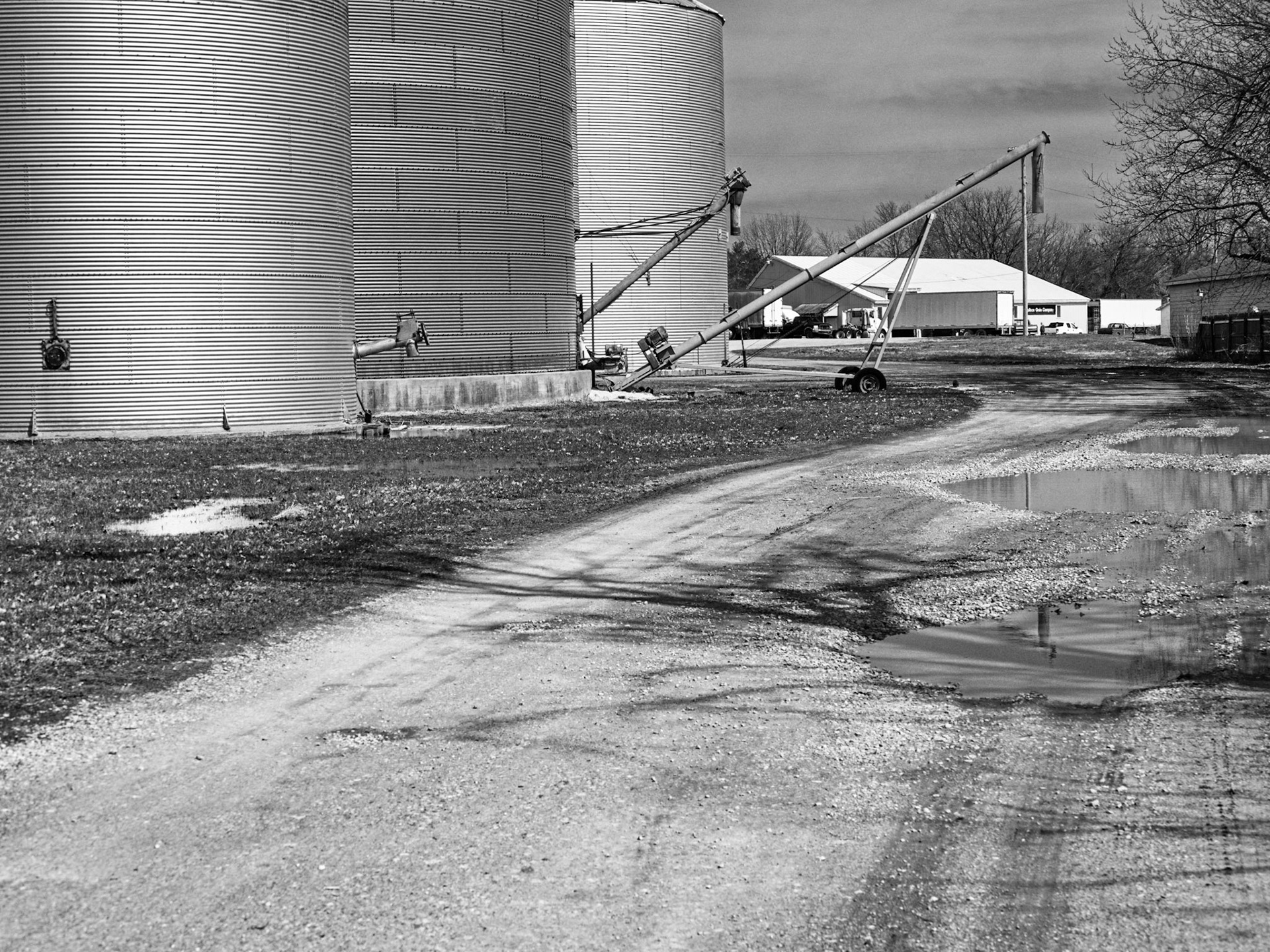 Black &amp; White 00247