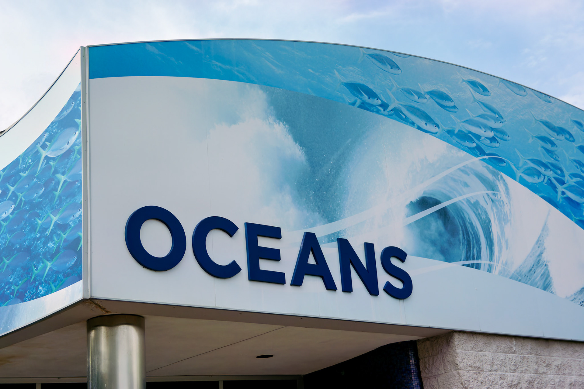 Wildlife_20140718_0398_PS.dng