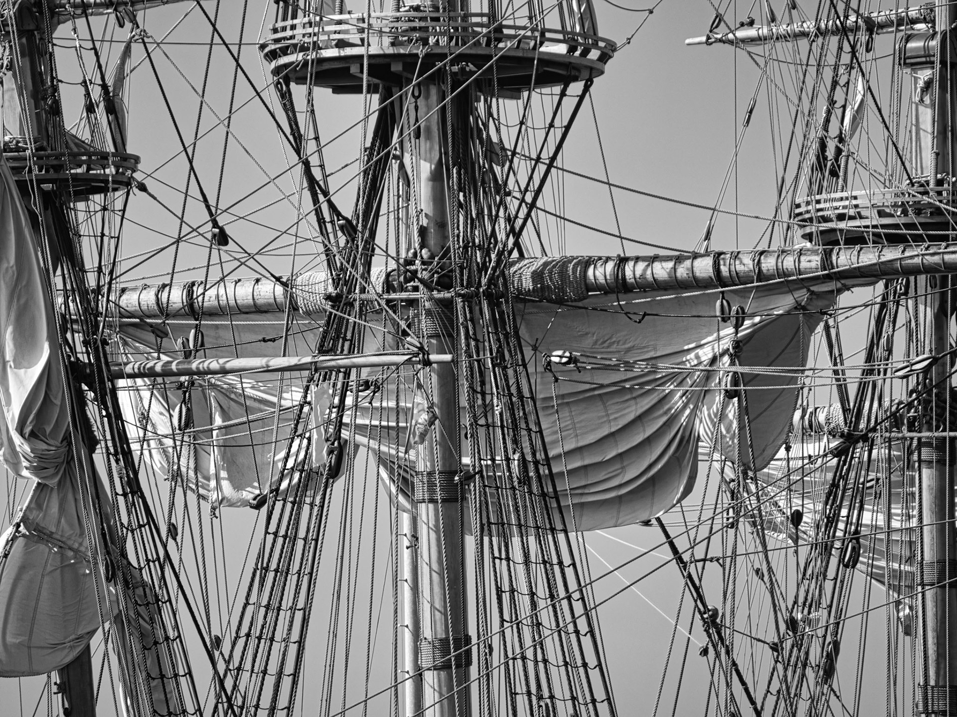 Black &amp; White 00308