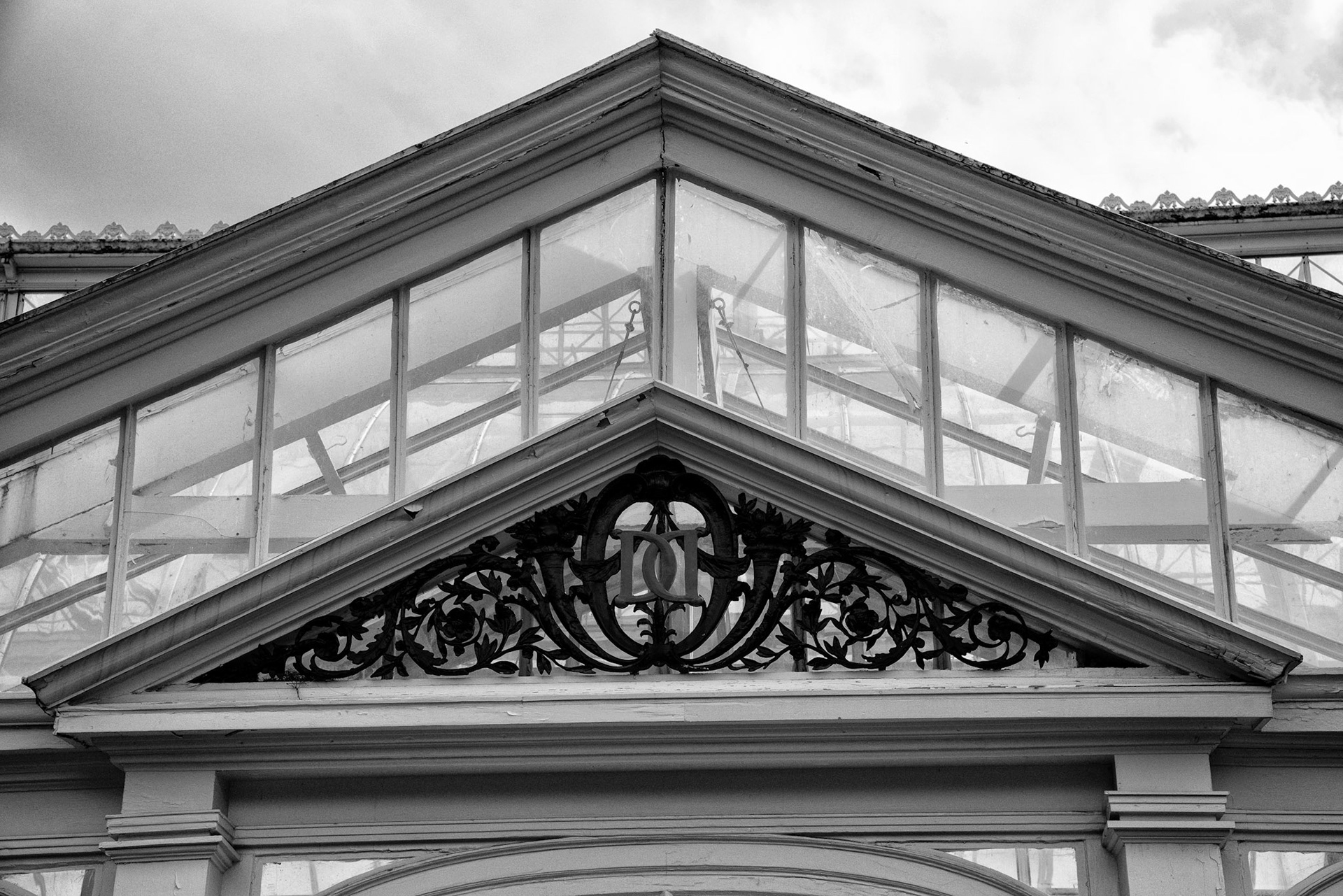 Black &amp; White 00209