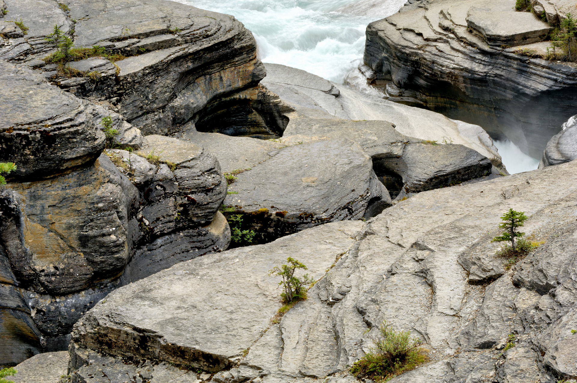 CN_20060802_0228_PS.dng