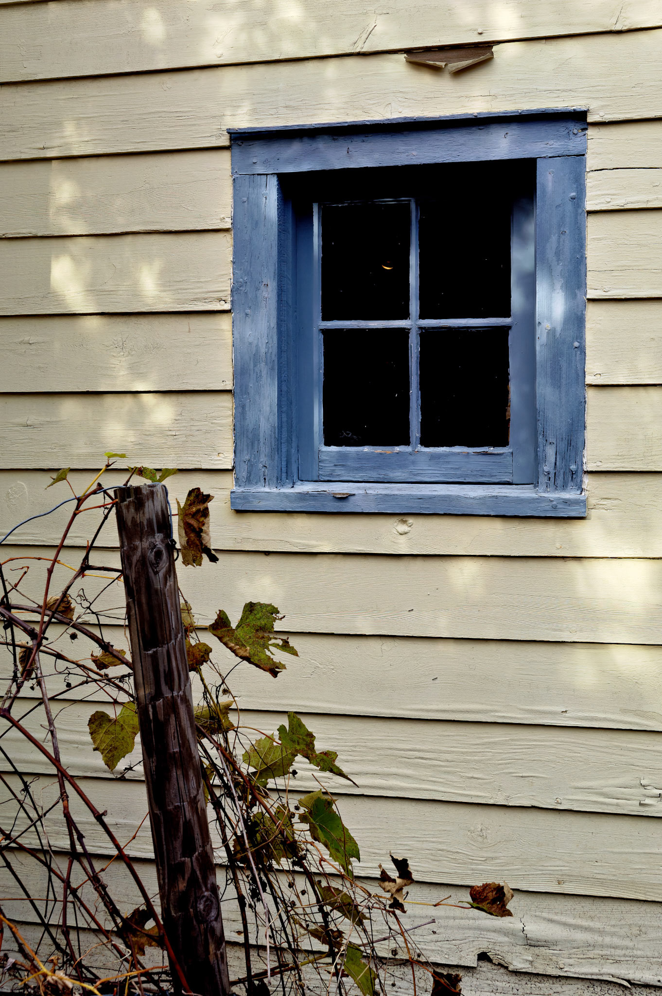 CT_20051104_0093_PS.dng