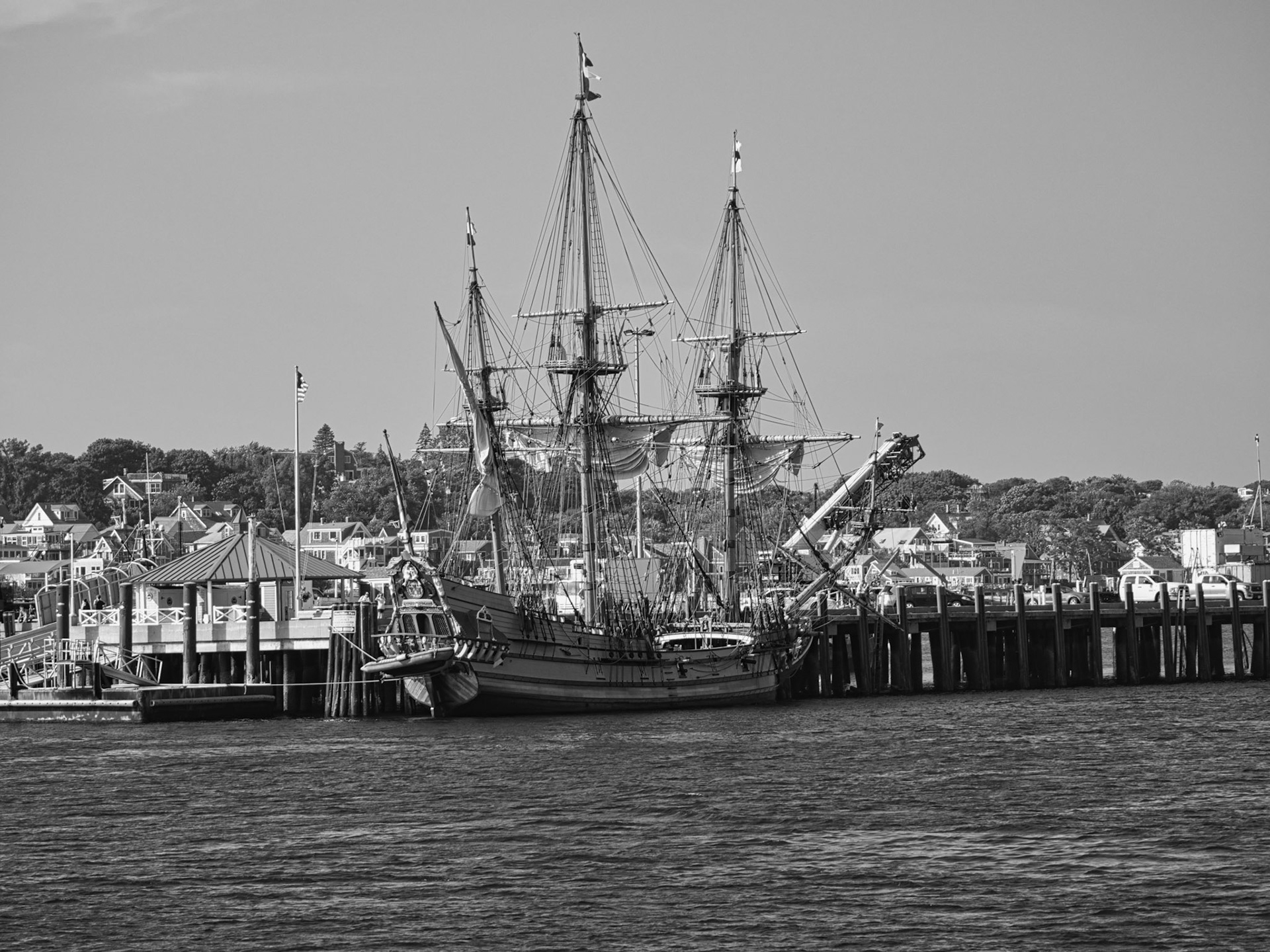 Black &amp; White 00306