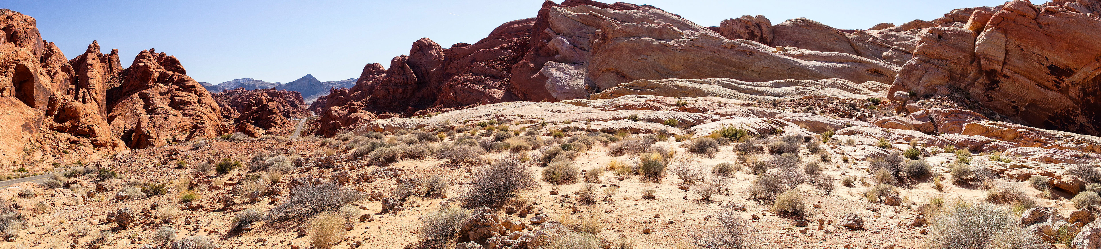 NV_Deserts_20120313_0149_PS.dng