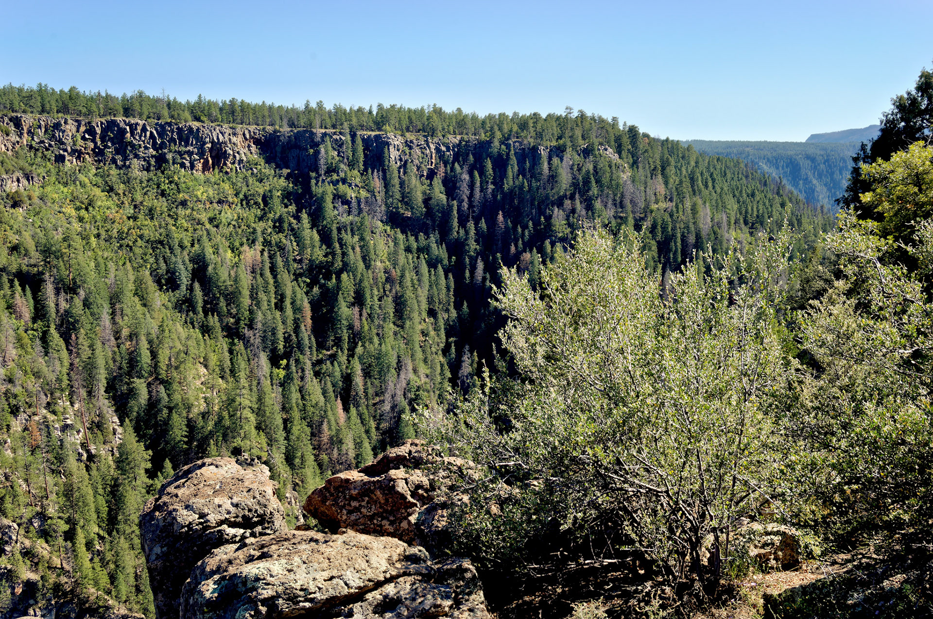 AZ_20060918_0161_PS.dng