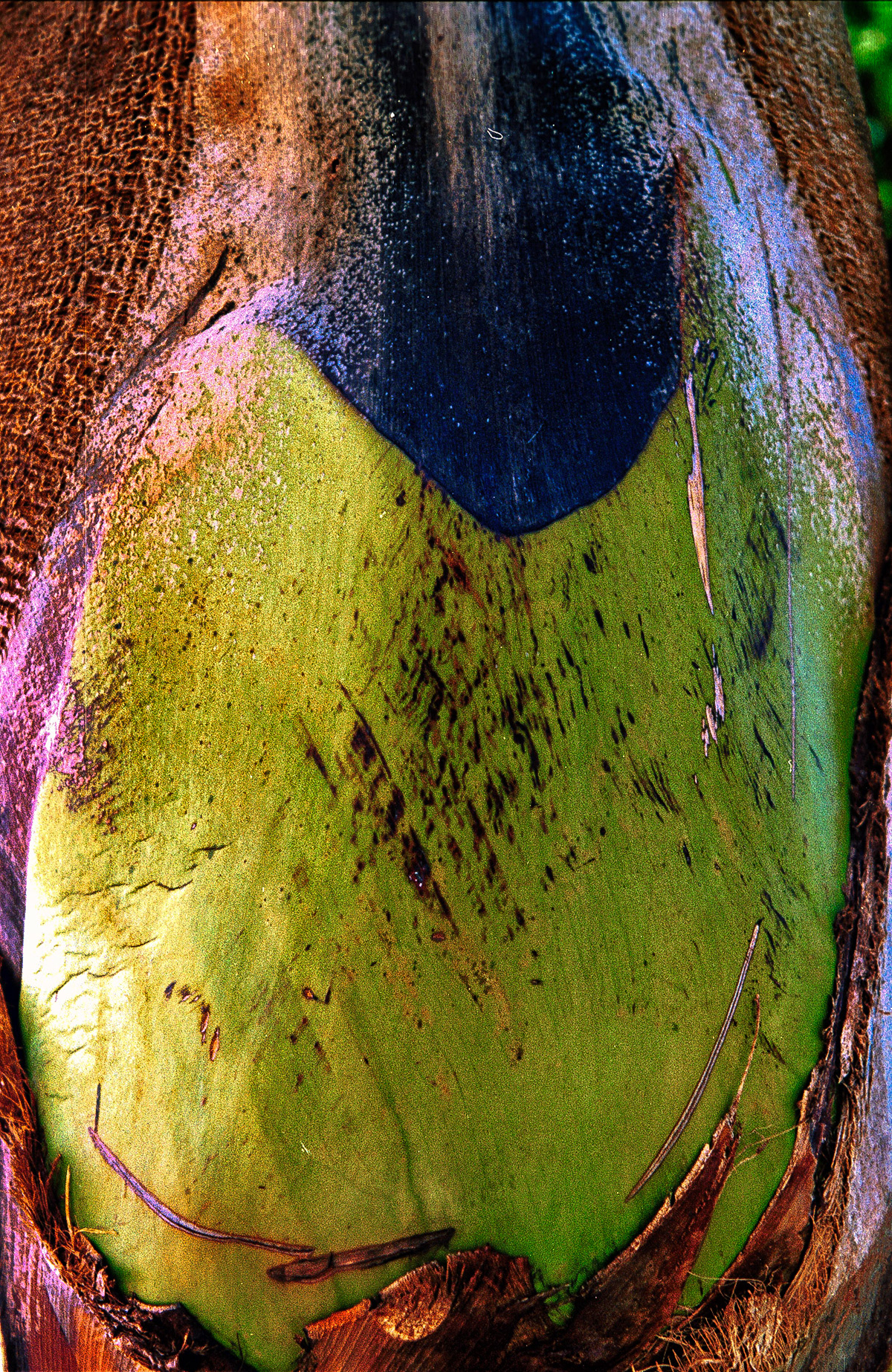 Artistic Photos 00090