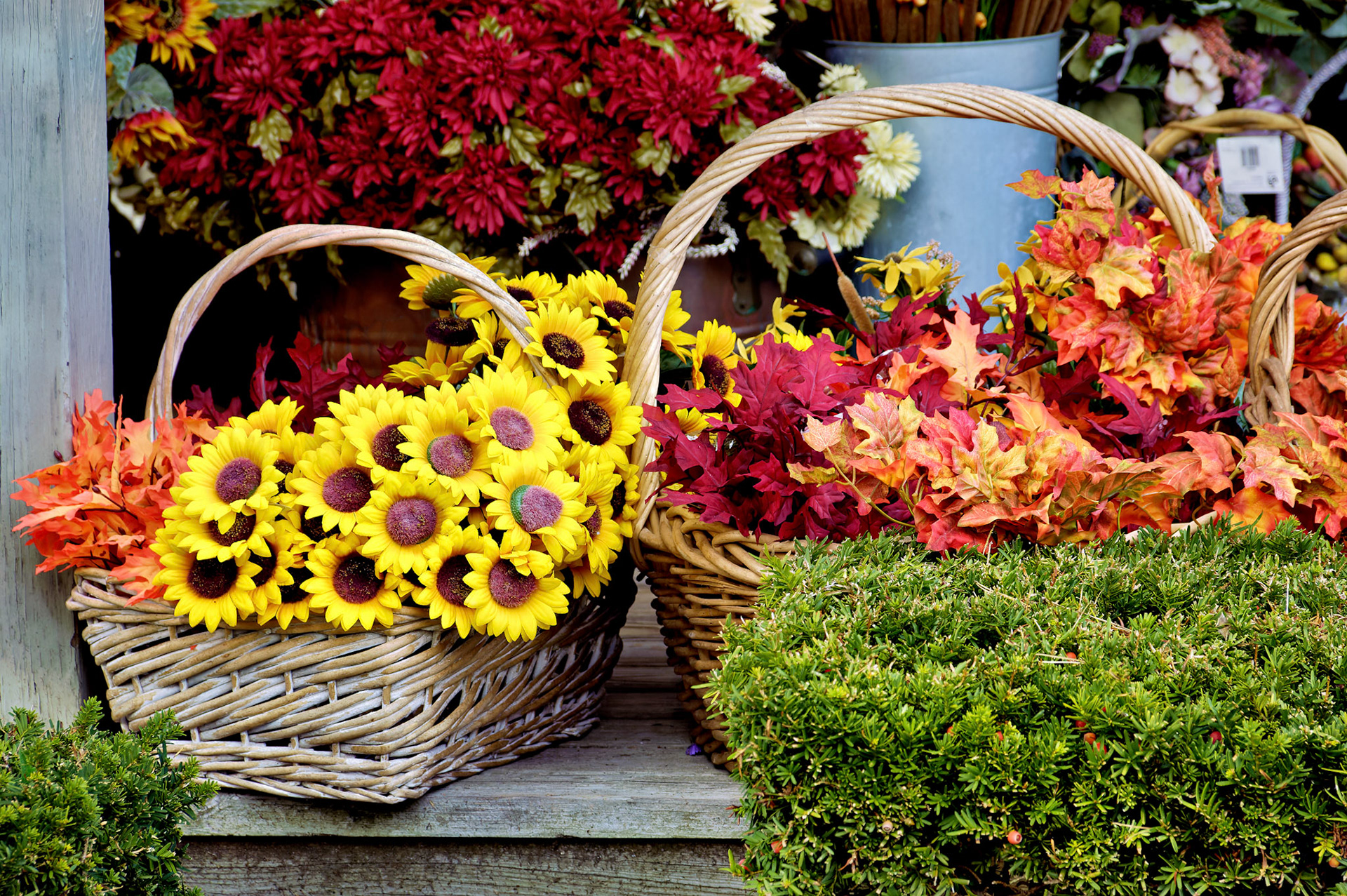 CT_20051104_0095_PS.dng