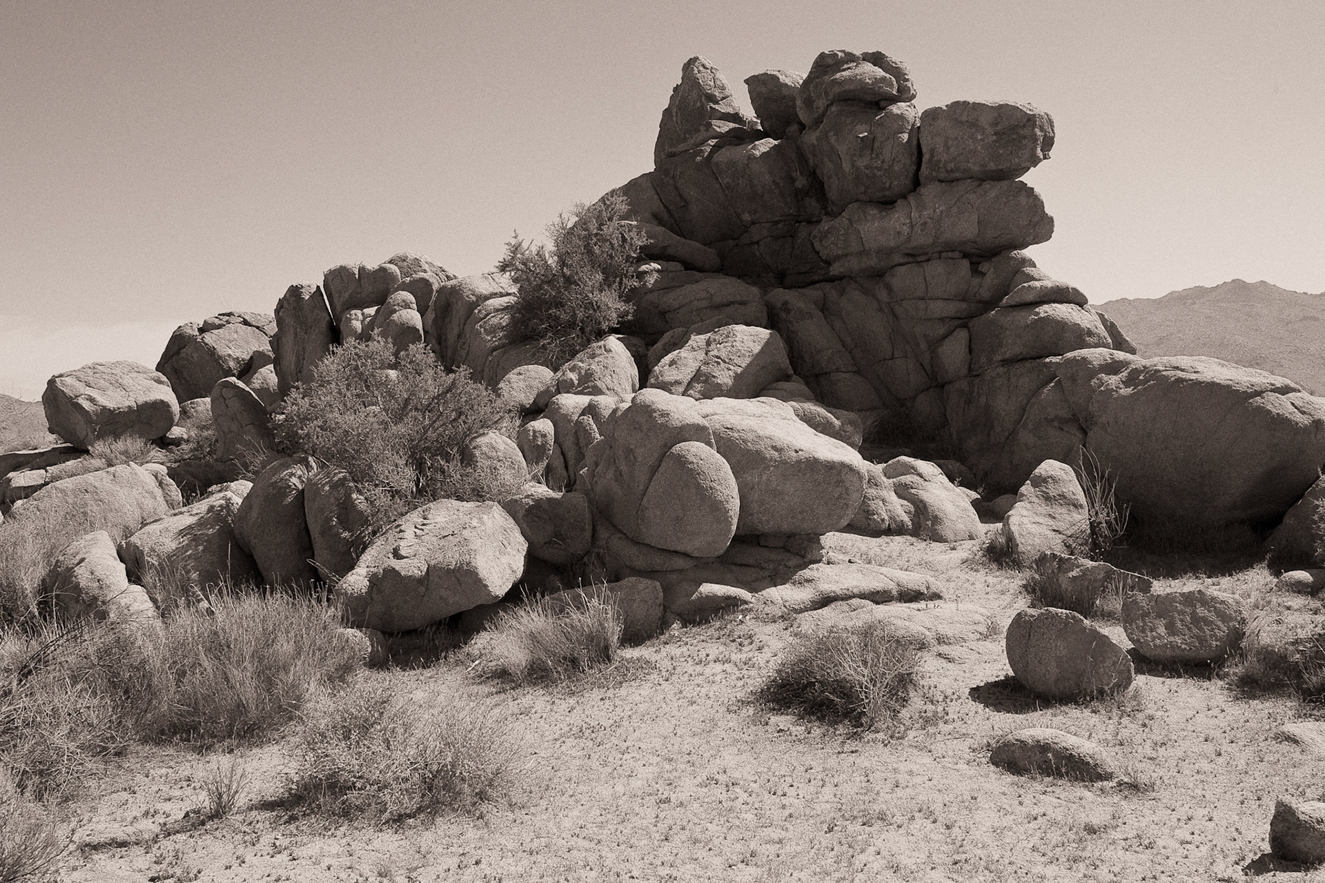 Black &amp; White Photos