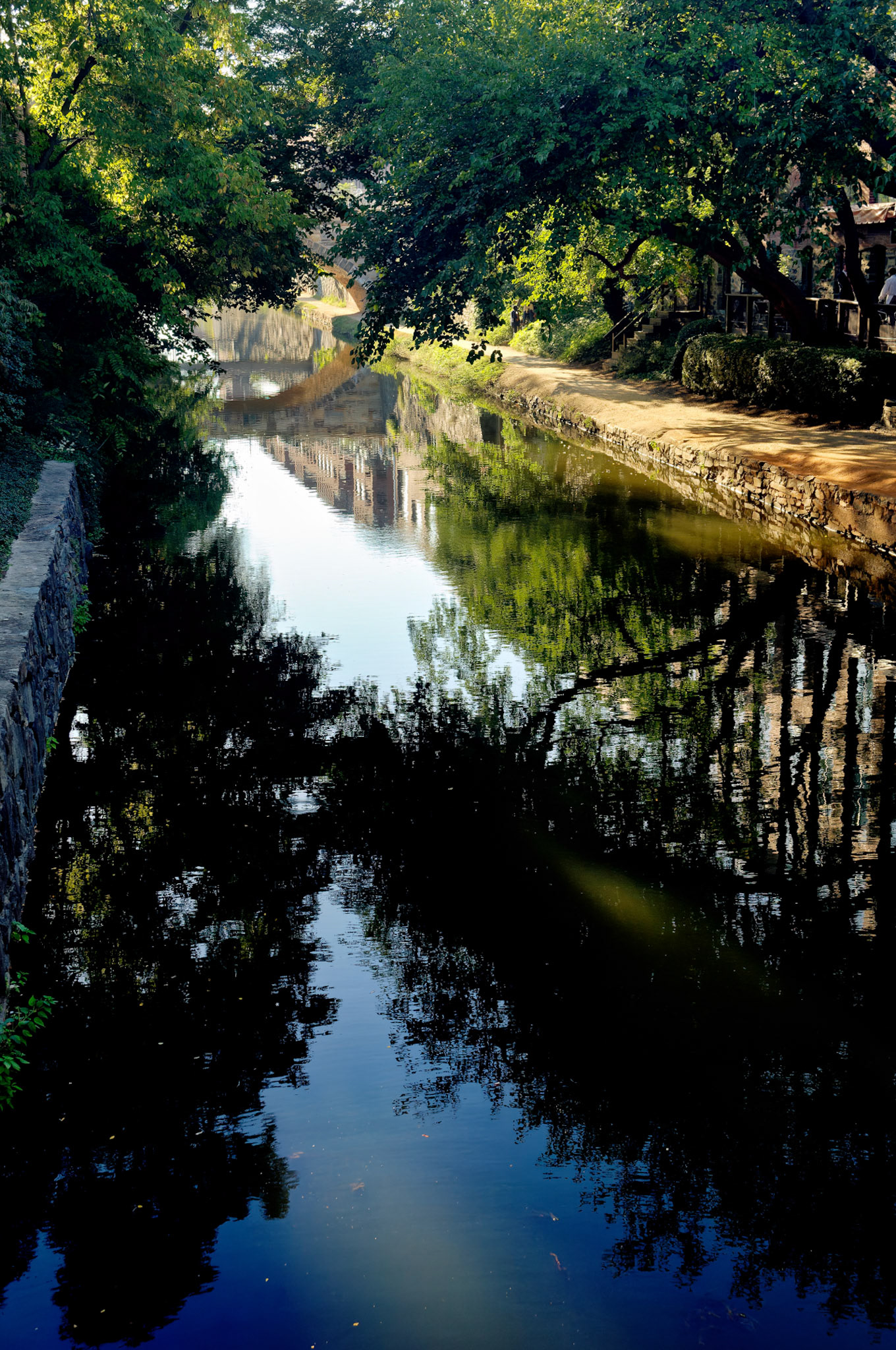 DC_20050913_0053_PS.dng