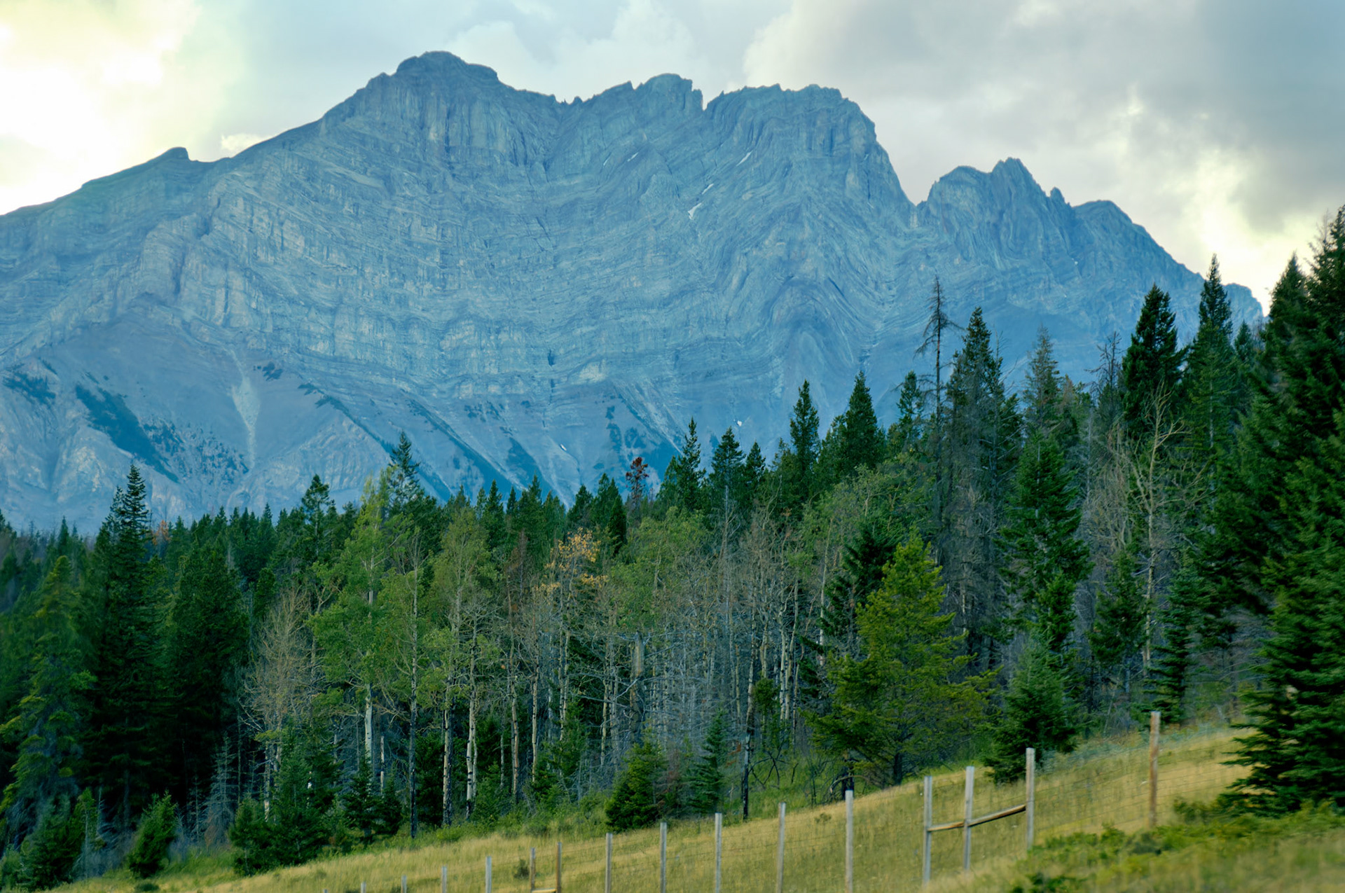 CN_20060731_0018_PS.dng