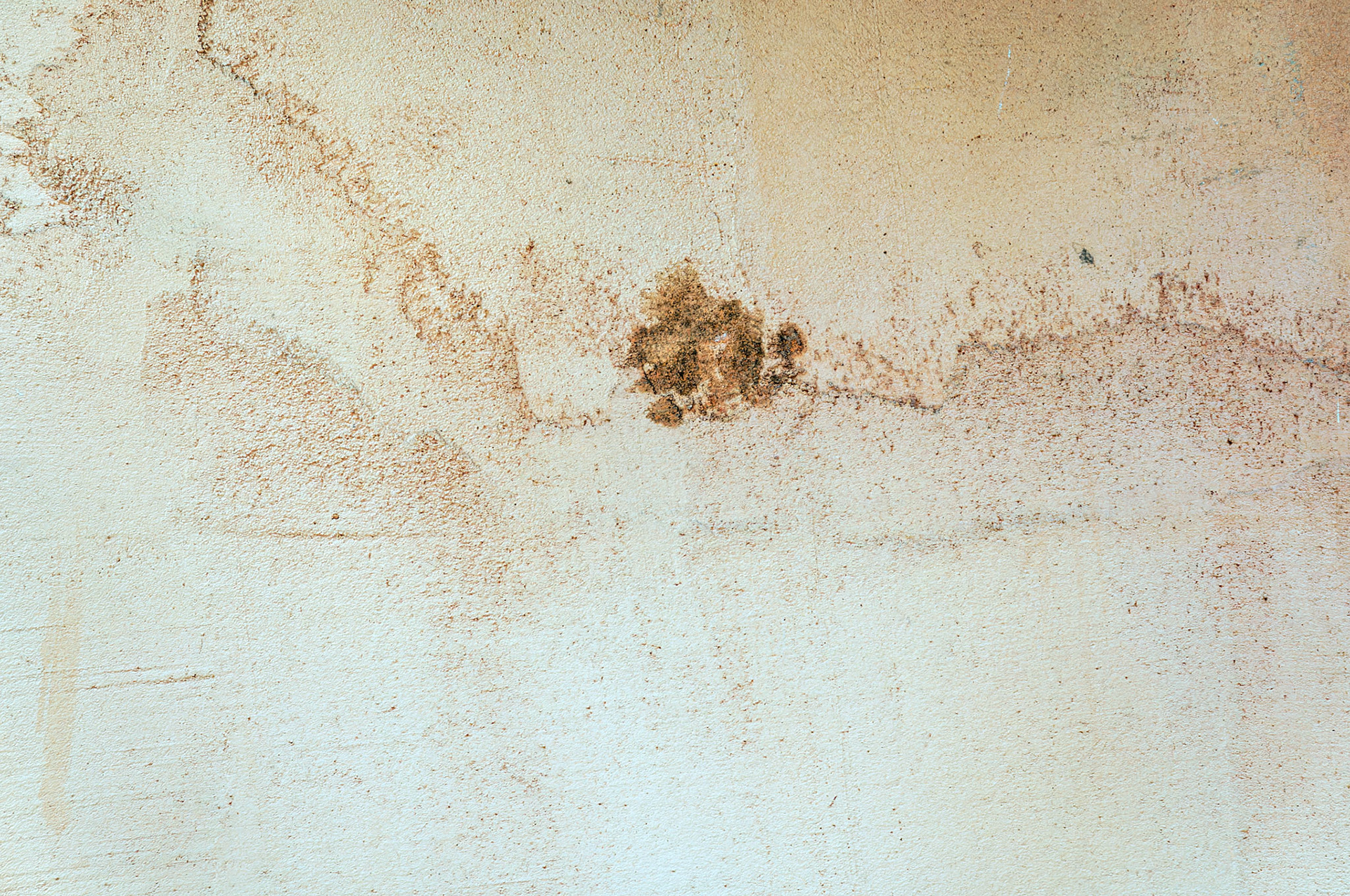 PA_GroundsForSculpture_20080814_0090_PS.dng