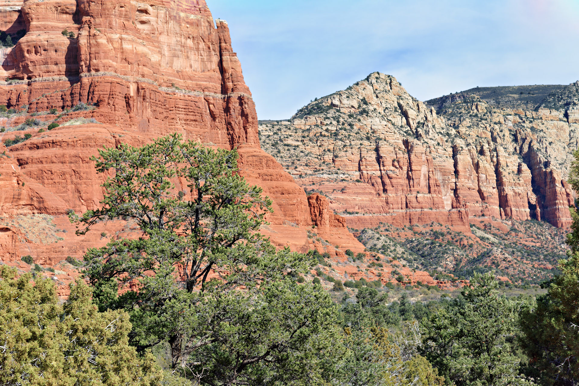 AZ_20121211_0586_PS.dng