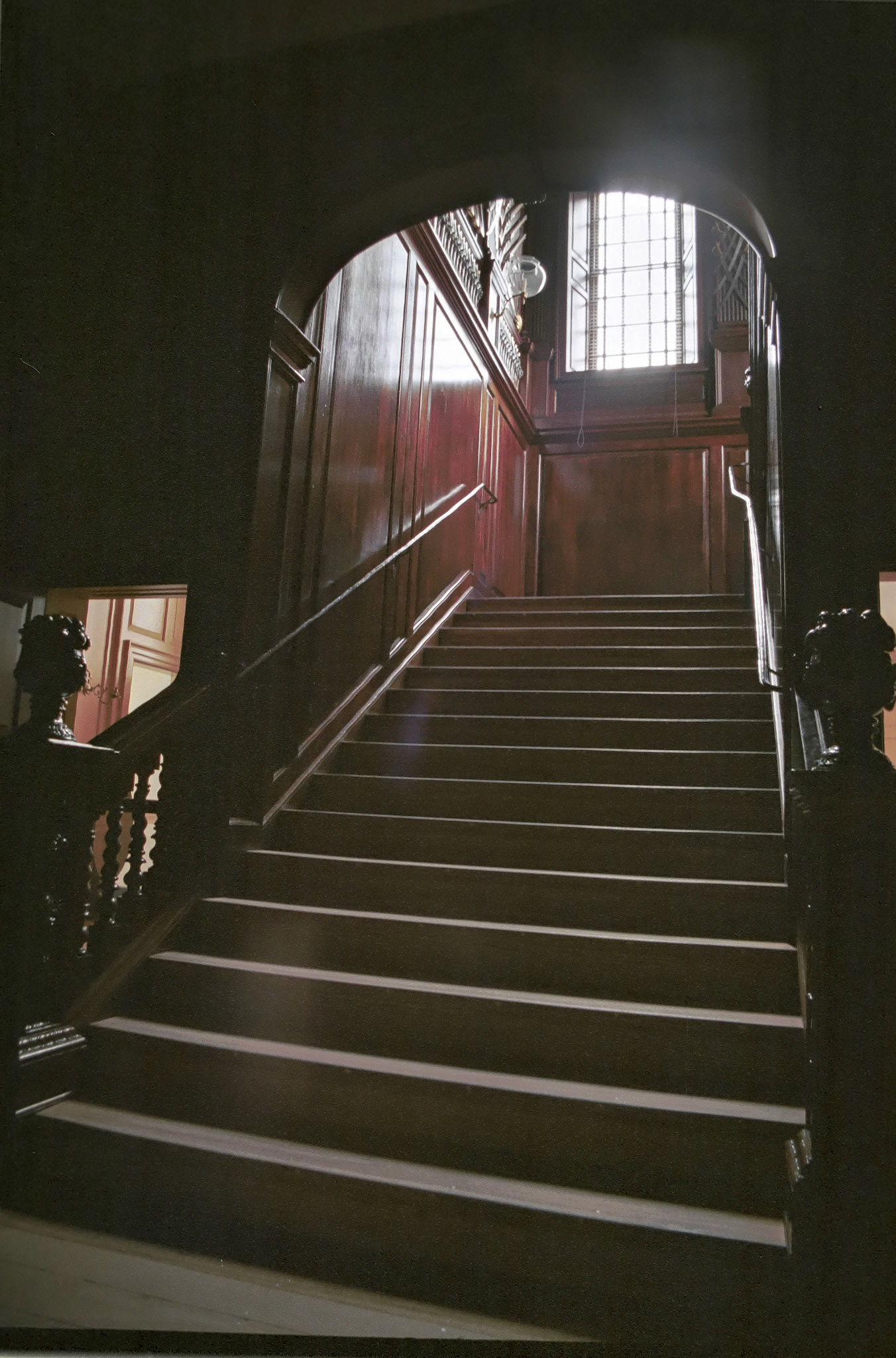 VA_20210212_0085_PS.dng