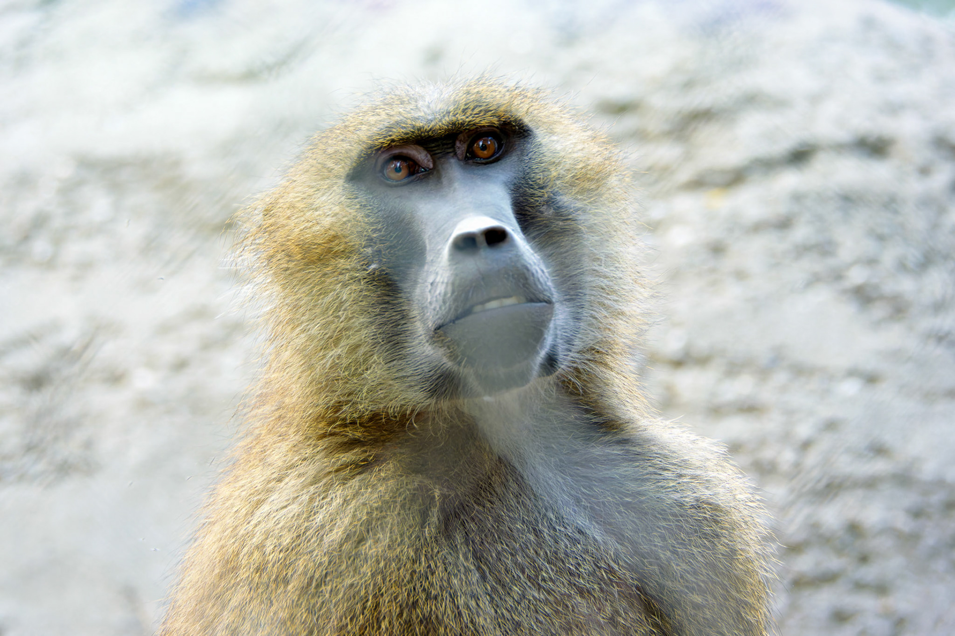 Wildlife_20140718_0508_PS.dng