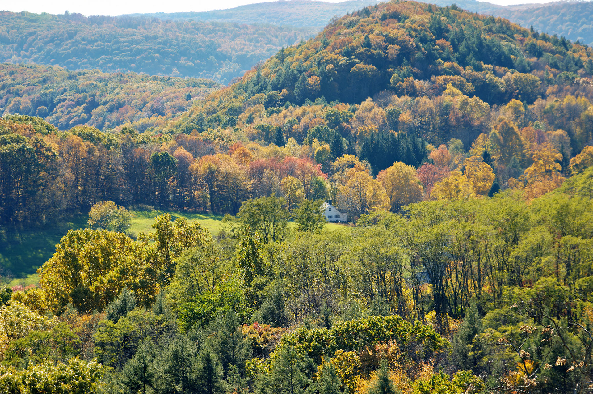 CT_20051102_0044_PS.dng