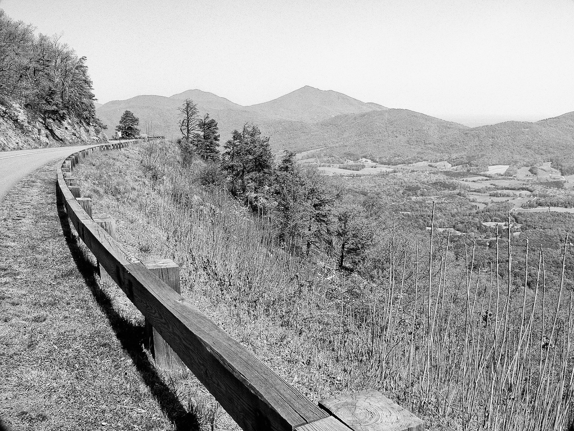 Black &amp; White Photos