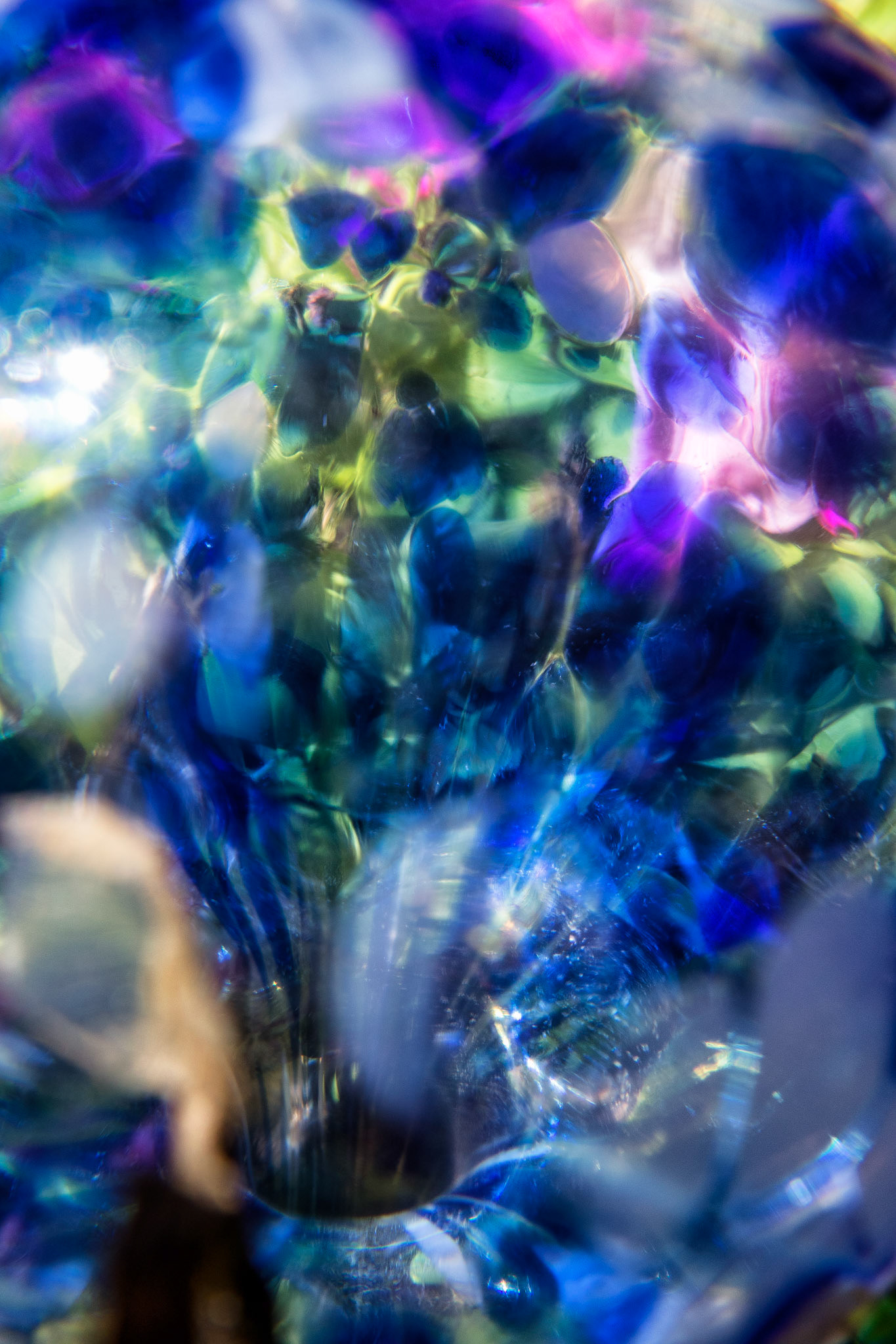 Artistic Photos 00037