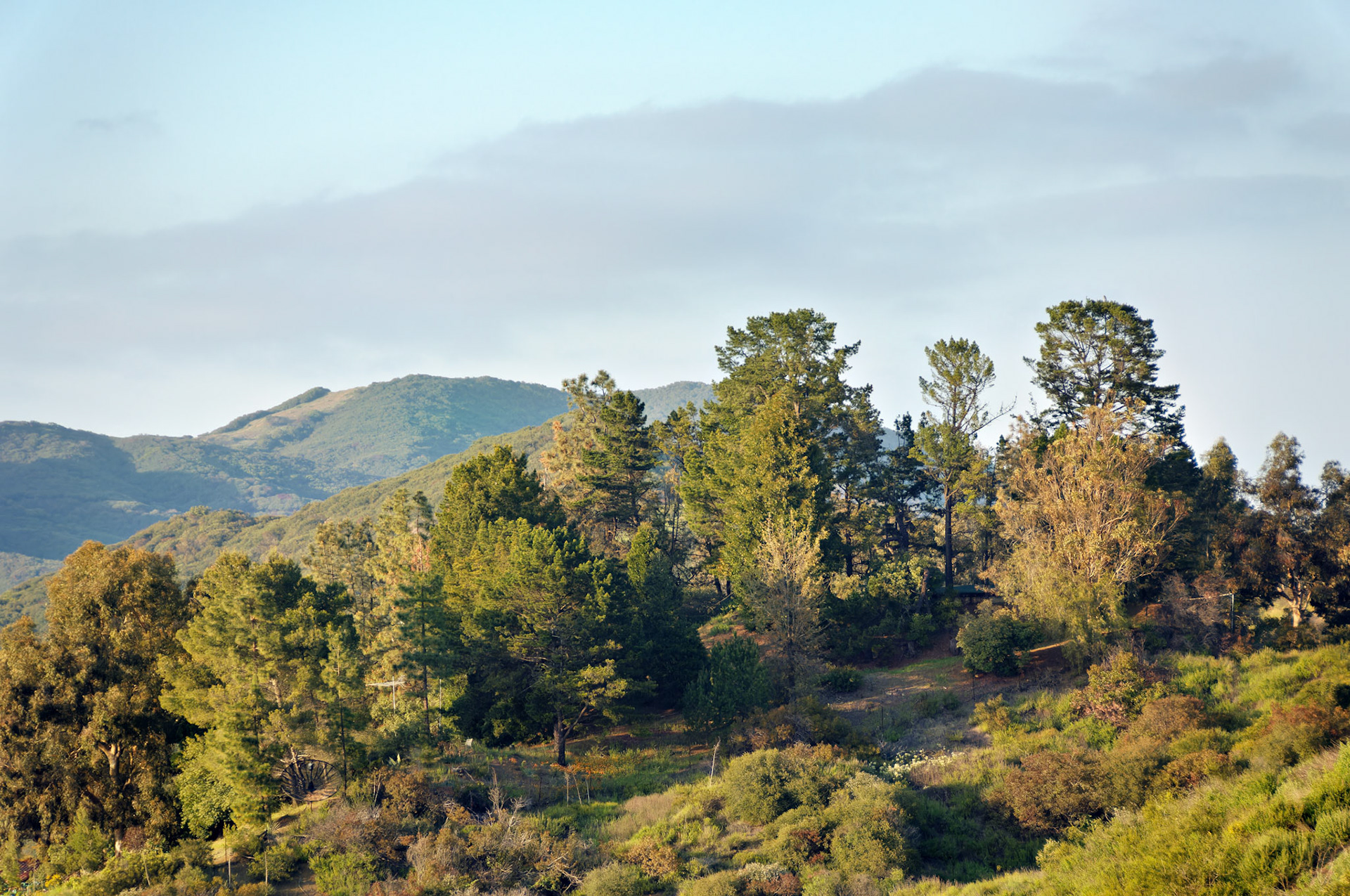 CA_LA_20060504_0344_PS.dng