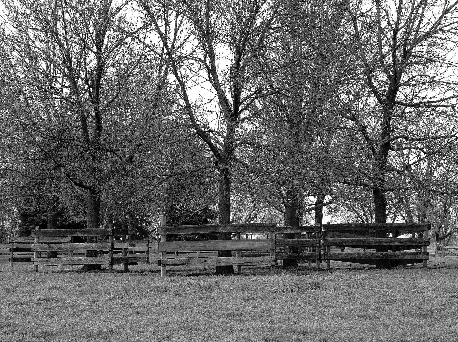 Black &amp; White Photos