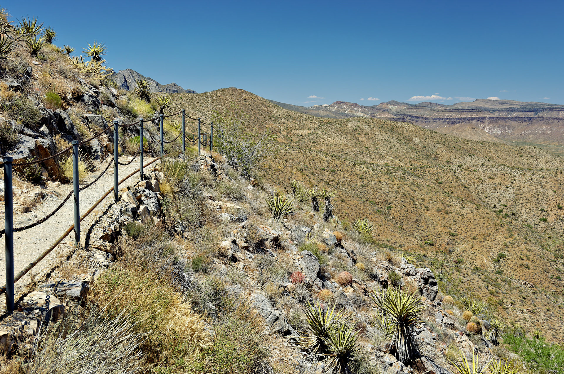 CA_20050614_0113_PS.dng