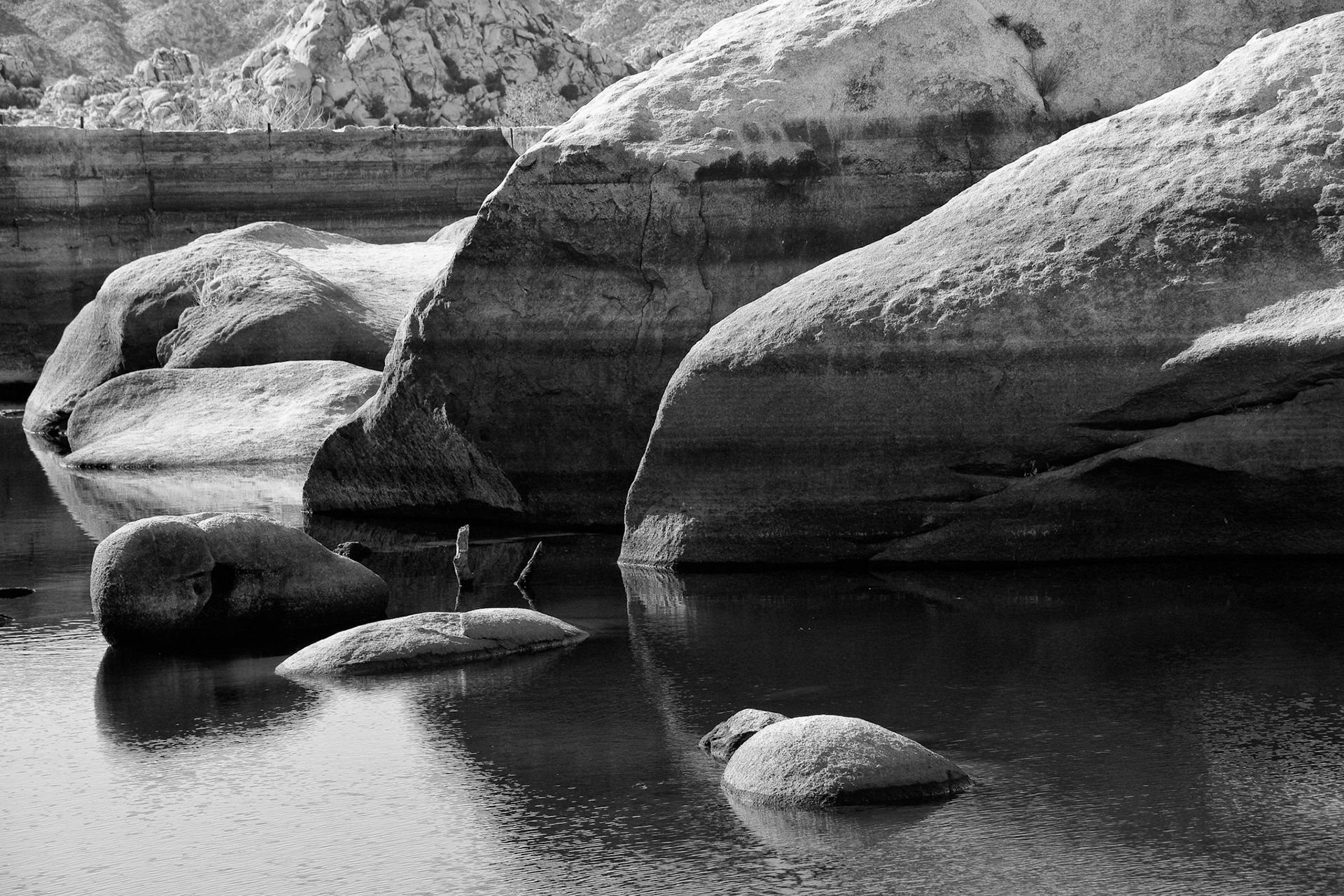 Black &amp; White 00094