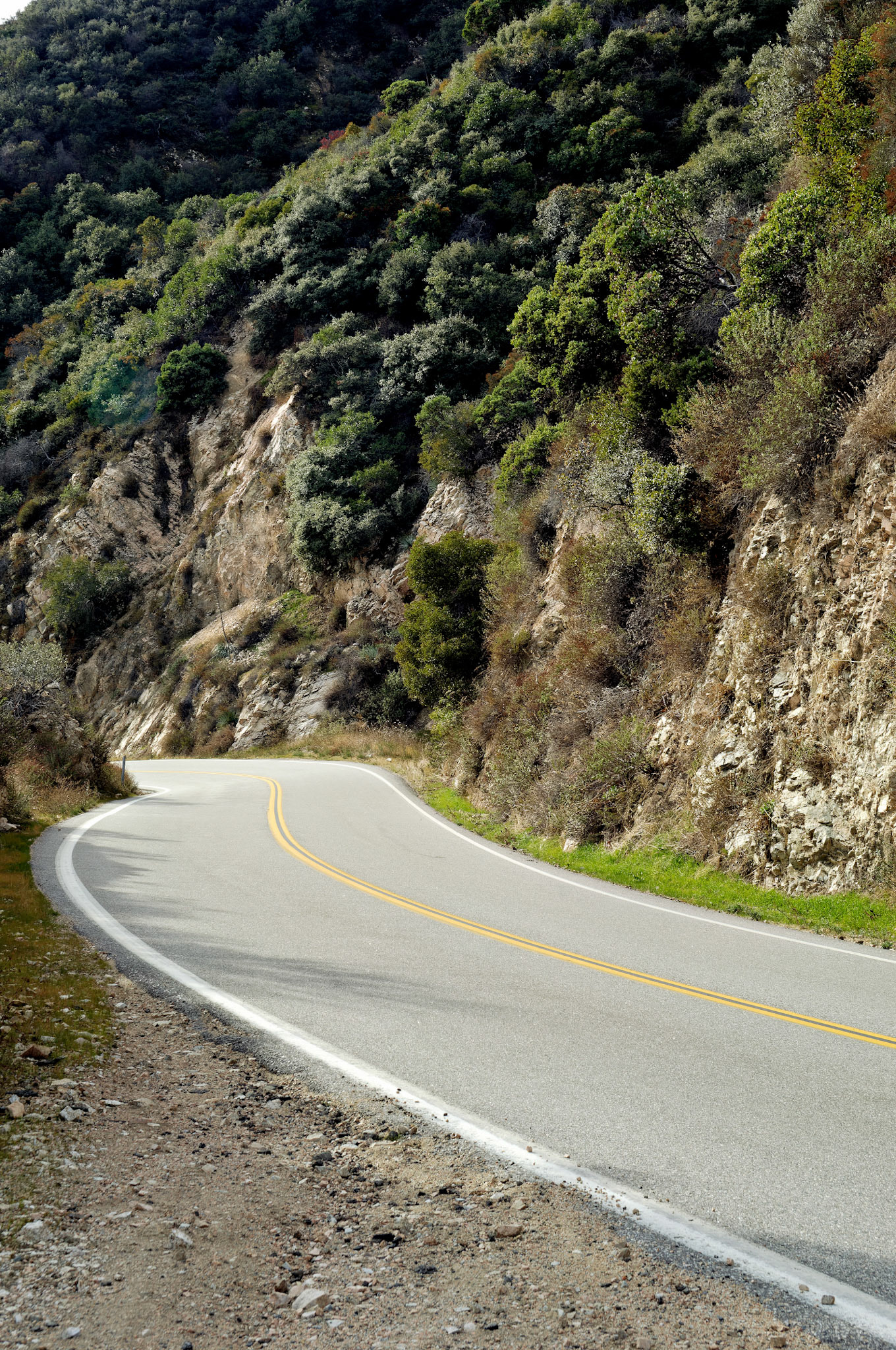 CA_LA_20051220_0223_PS.dng