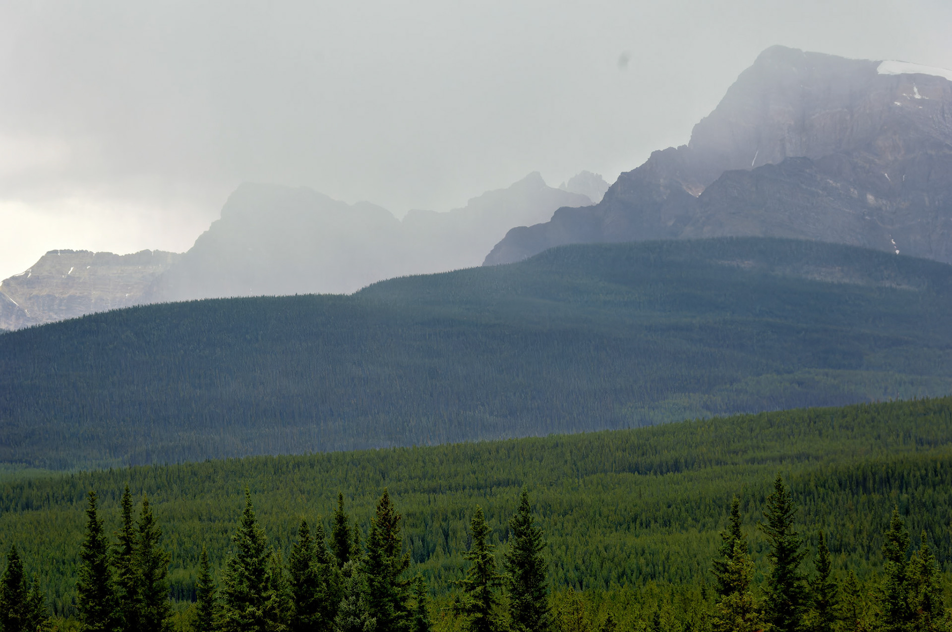 CN_20060803_0604_PS.dng