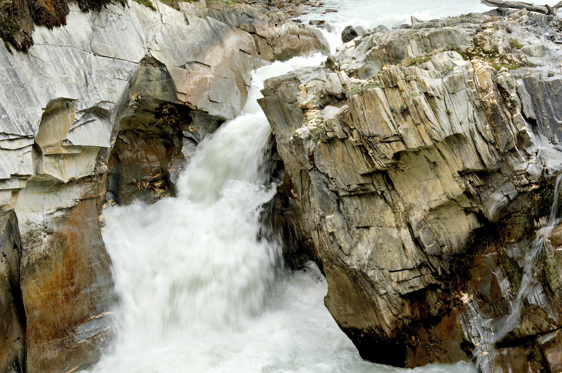 CN_20060802_0206_PS.dng