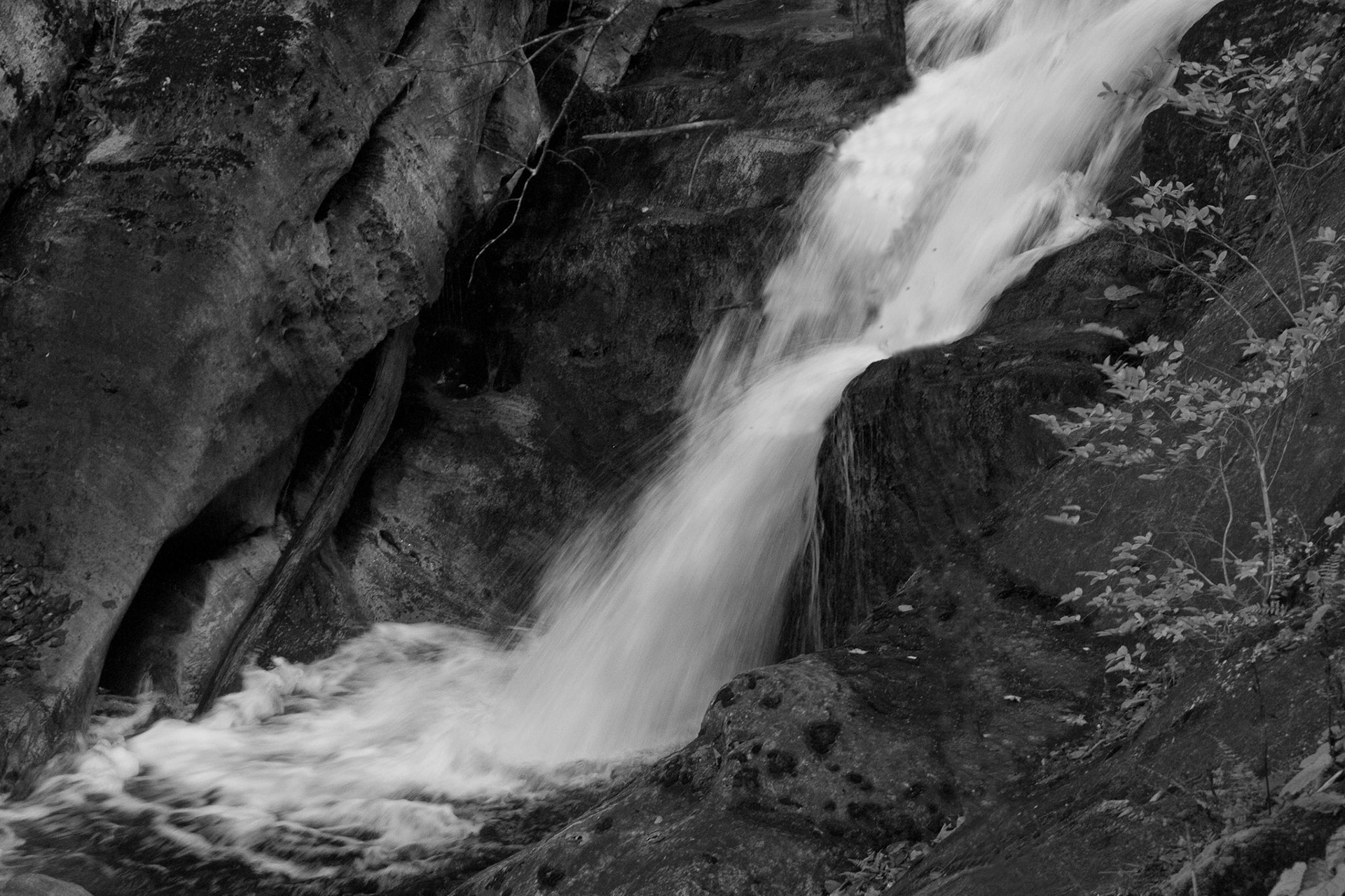 Black &amp; White Photos