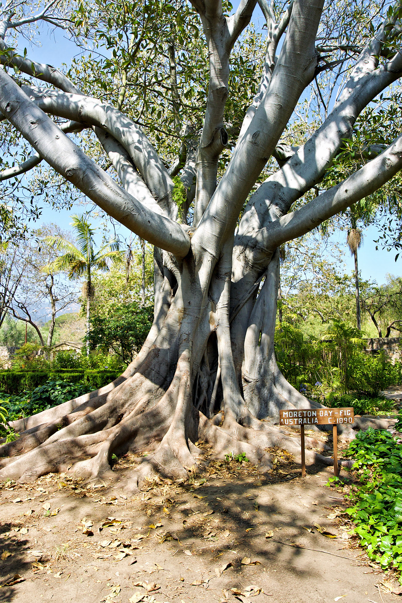 CA_LA_20030515_0084_PS.dng