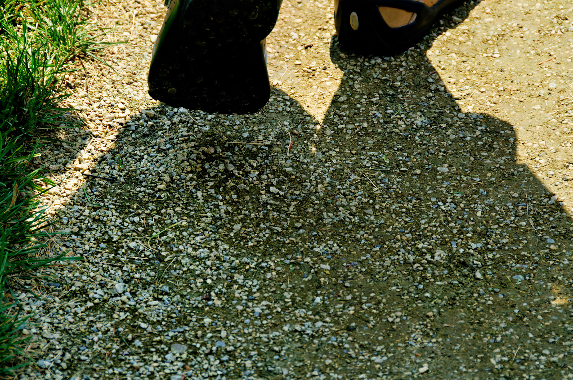 PA_GroundsForSculpture_20080814_0042_PS.dng