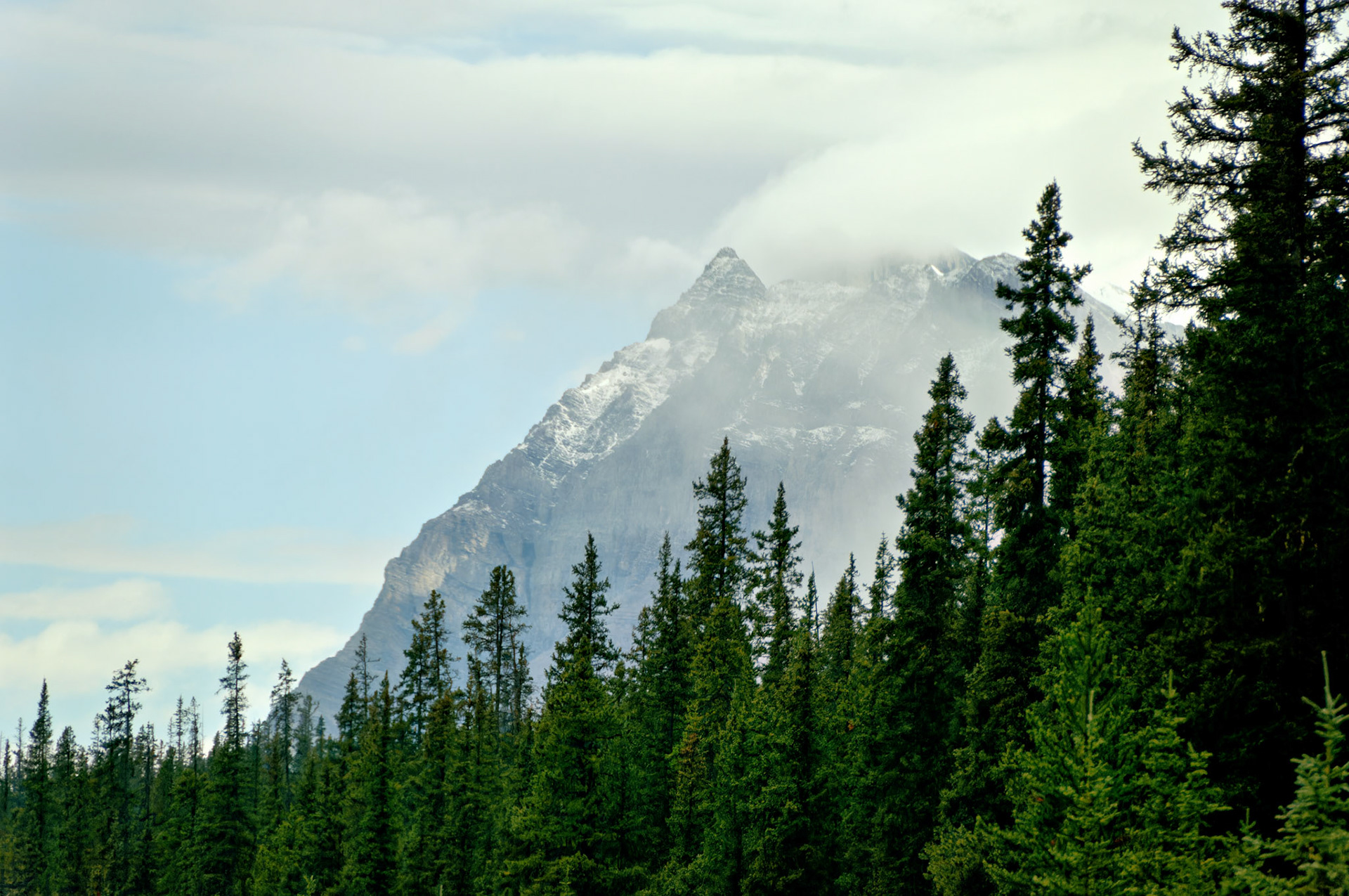 CN_20060802_0116_PS.dng