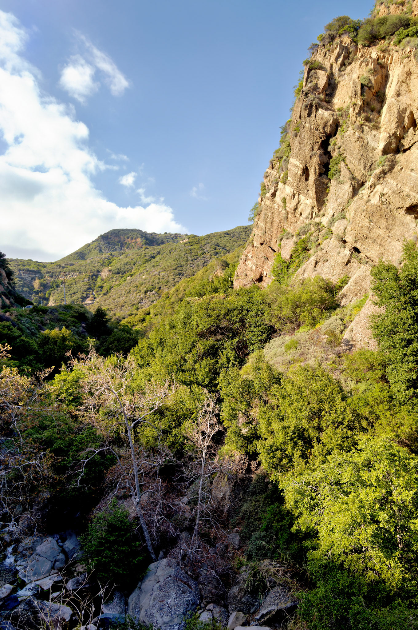 CA_LA_20060504_0332_PS.dng