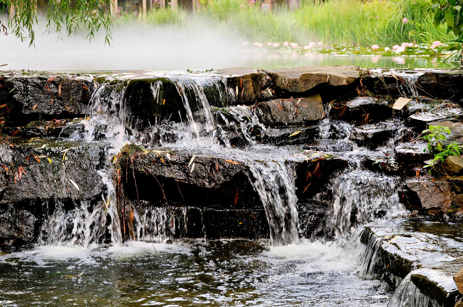 PA_GroundsForSculpture_20080814_0080_PS.dng