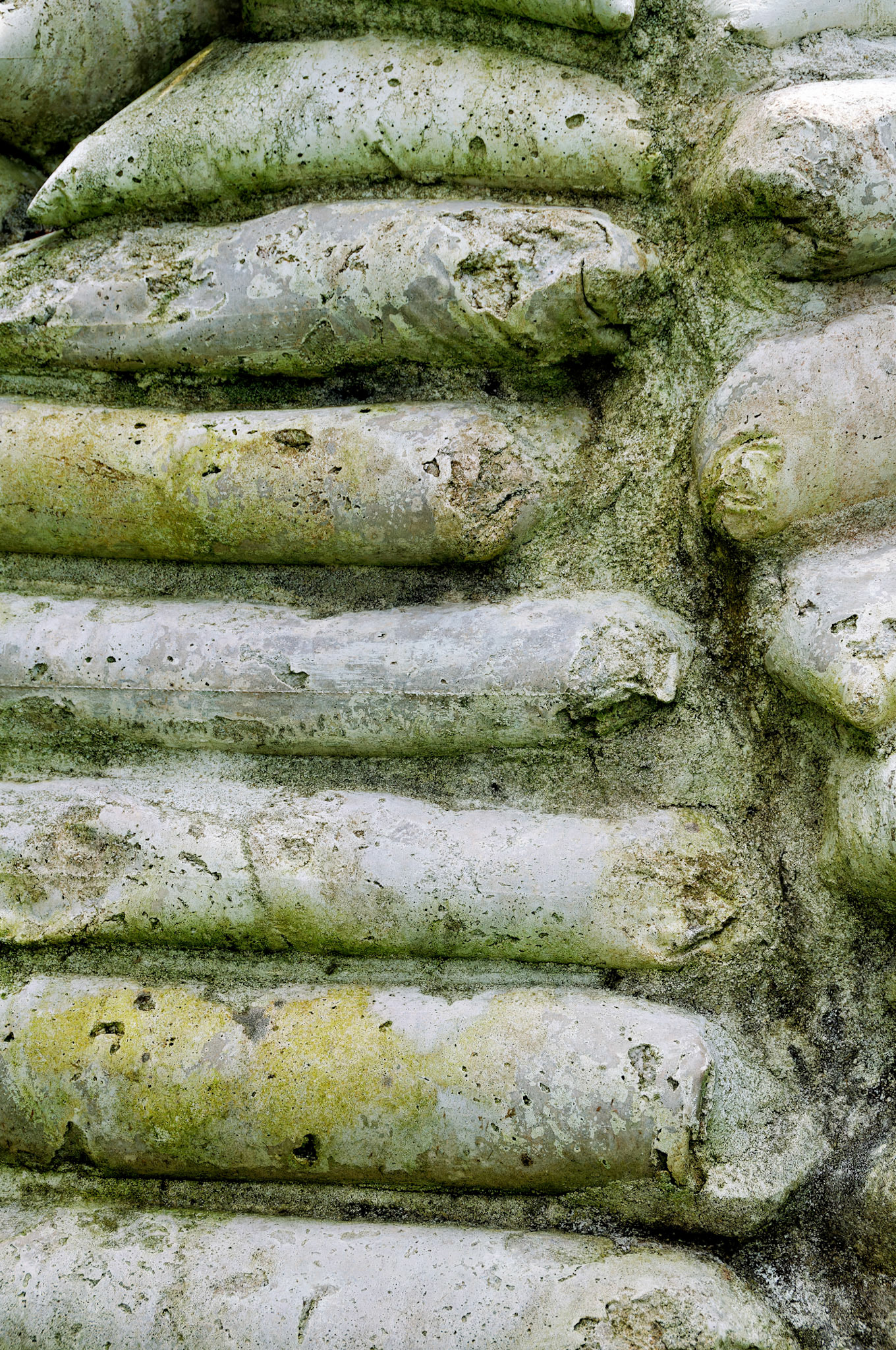 PA_GroundsForSculpture_20080814_0146_PS.dng