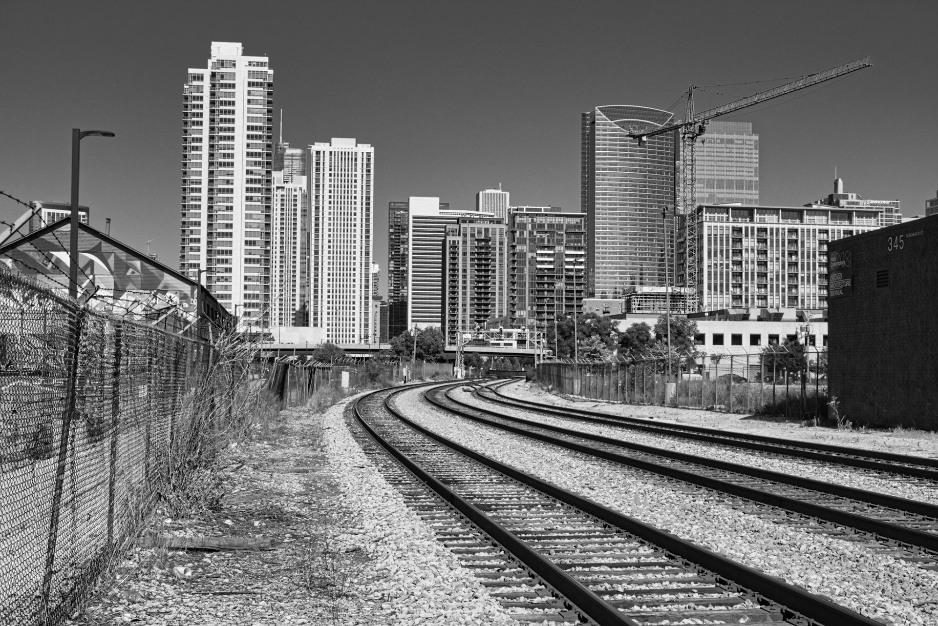 Black &amp; White 00276