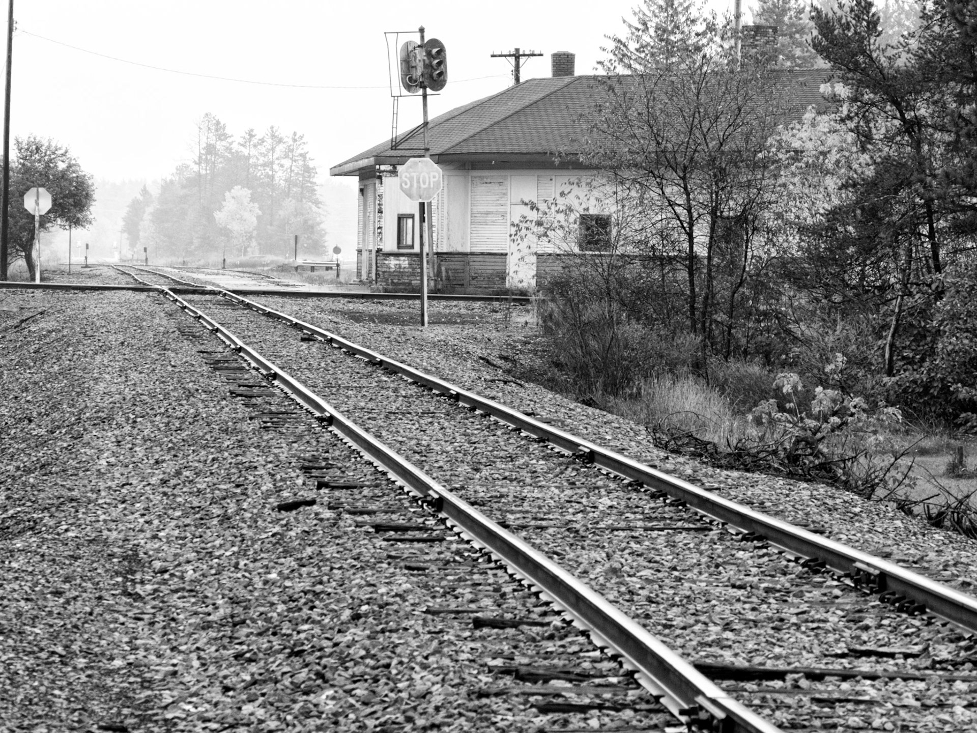 Black &amp; White 00150